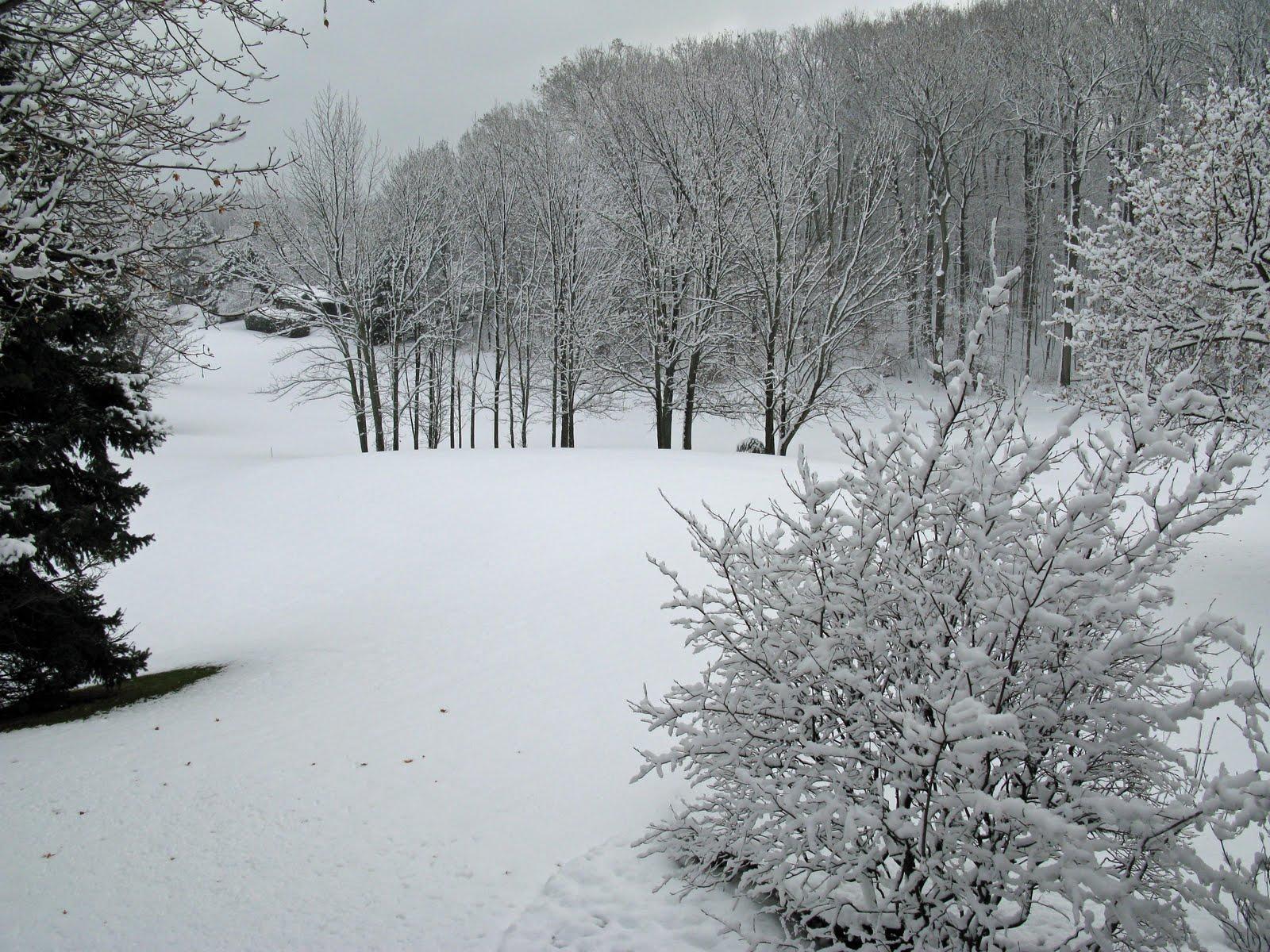 1600x1200 NEW ENGLAND FOLKLORE: Suspended Animation in Vermont