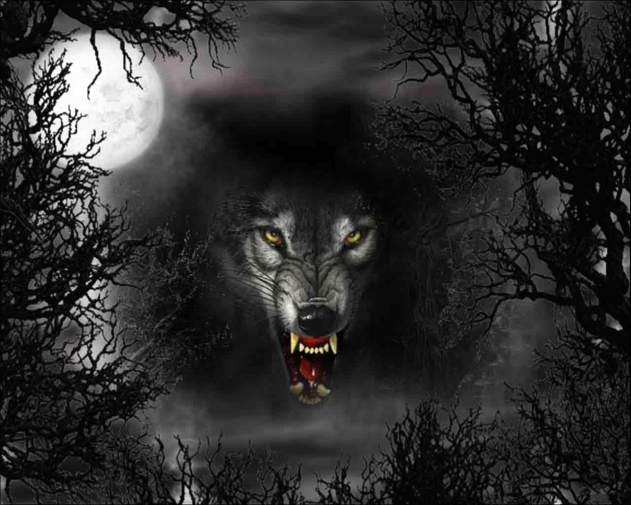 1280x1024 halloween wolves pics. Free Wallpaper in the moonlight