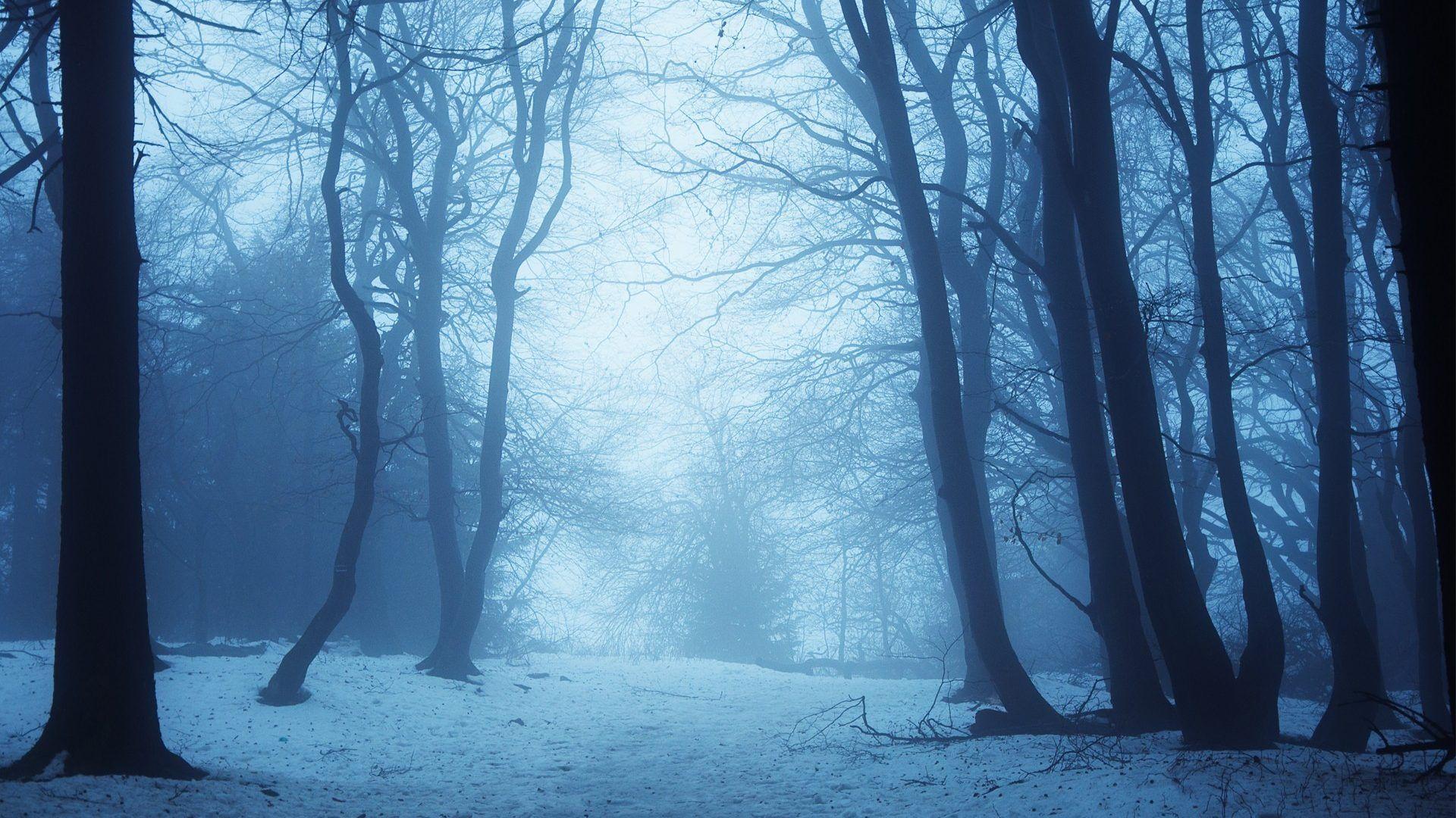 1920x1080 AACCDD Color wallpaper: SNOW HOUSE Forest Winter Bridge