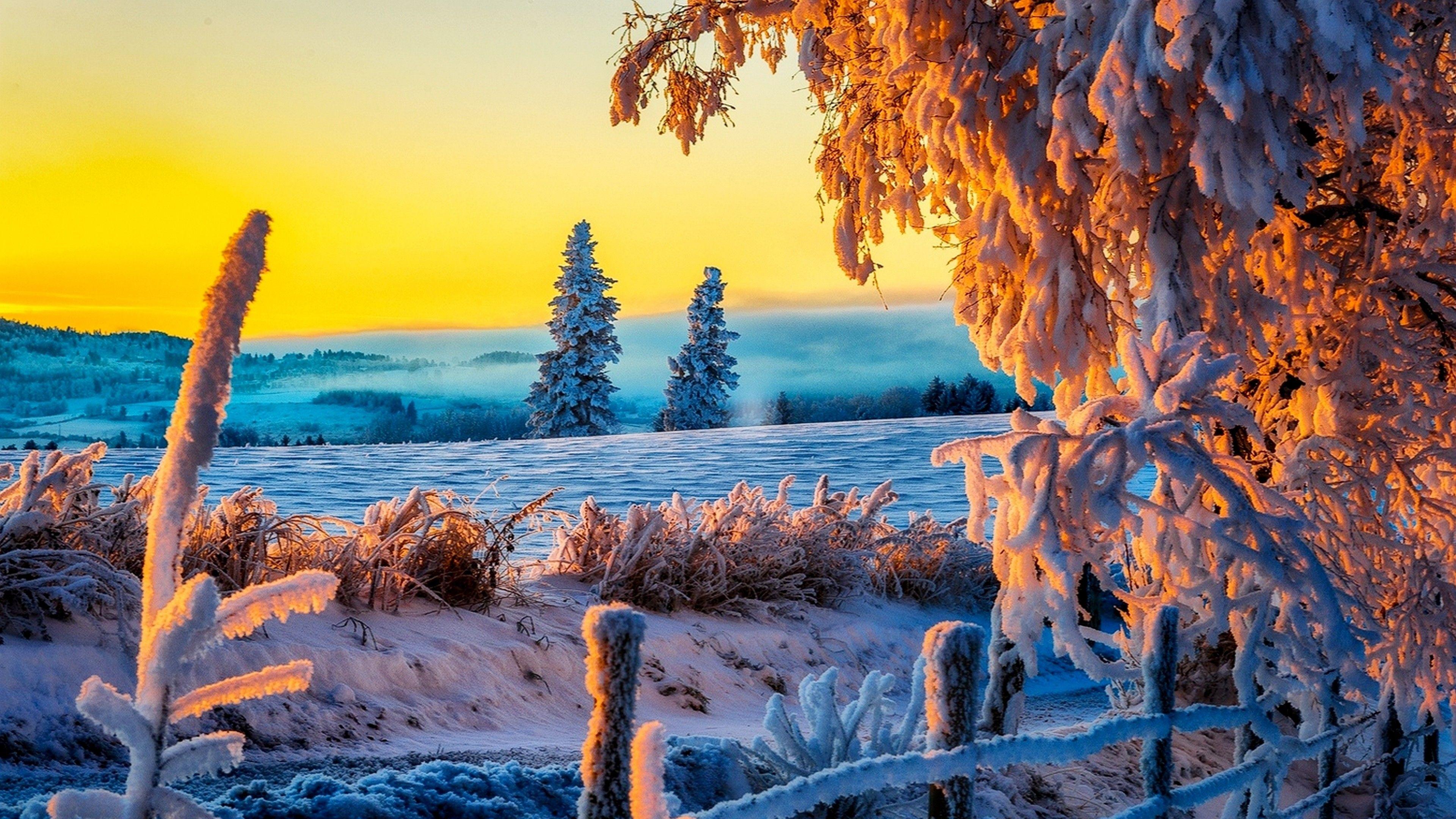 3840x2160 4K HD Wallpaper