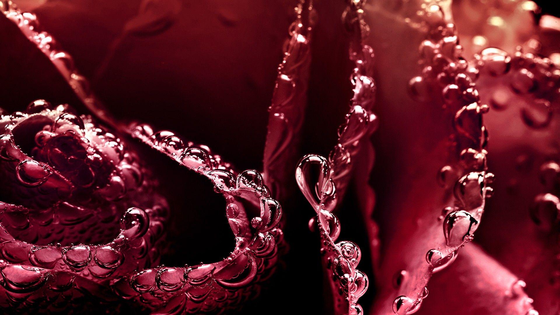 1920x1080 Blurred Burgundy Drops Leaves Red Water Wet