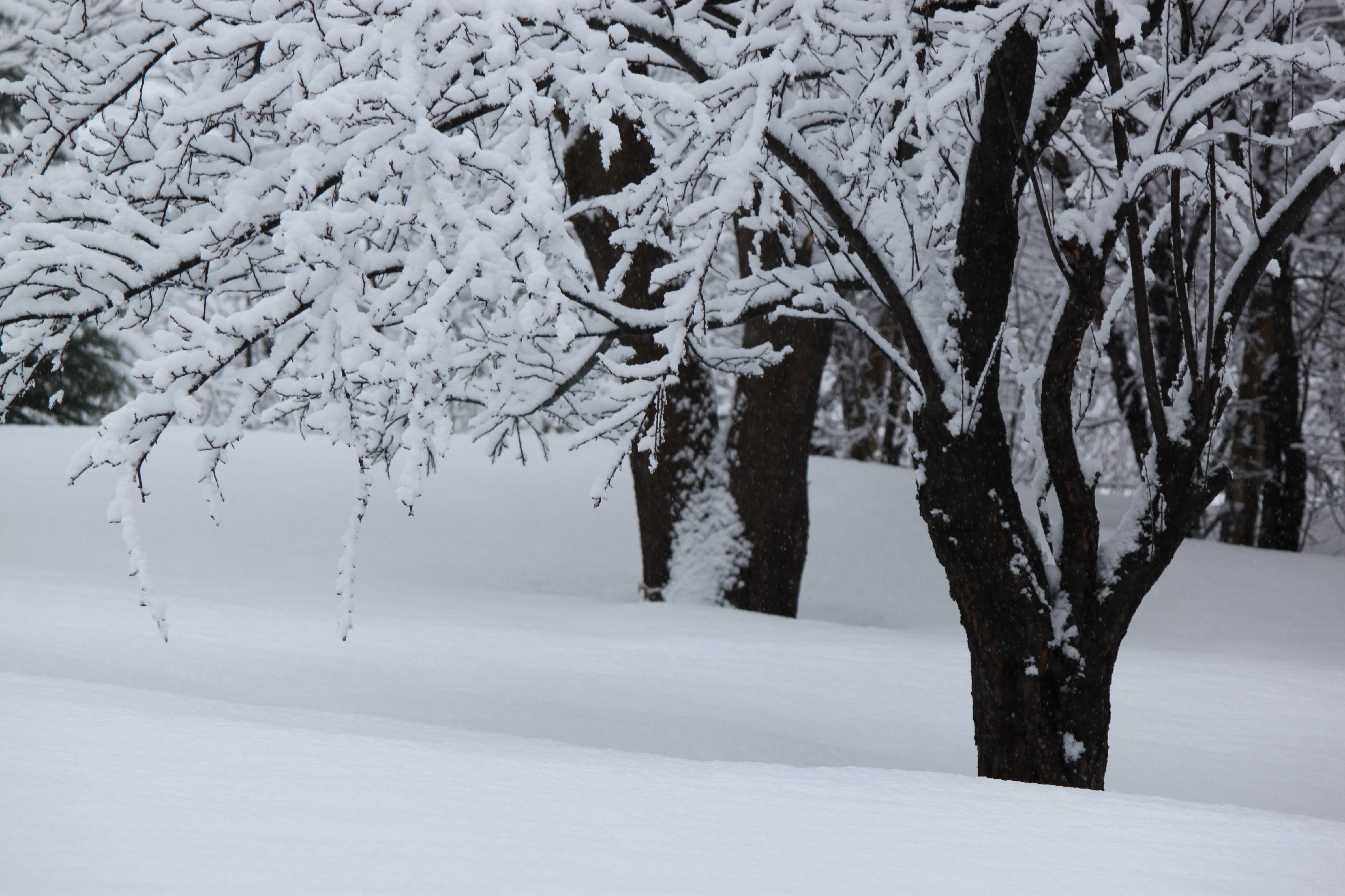 4752x3168 Sugar Snow” Graces Vermont. Matt Of All Trades Blog