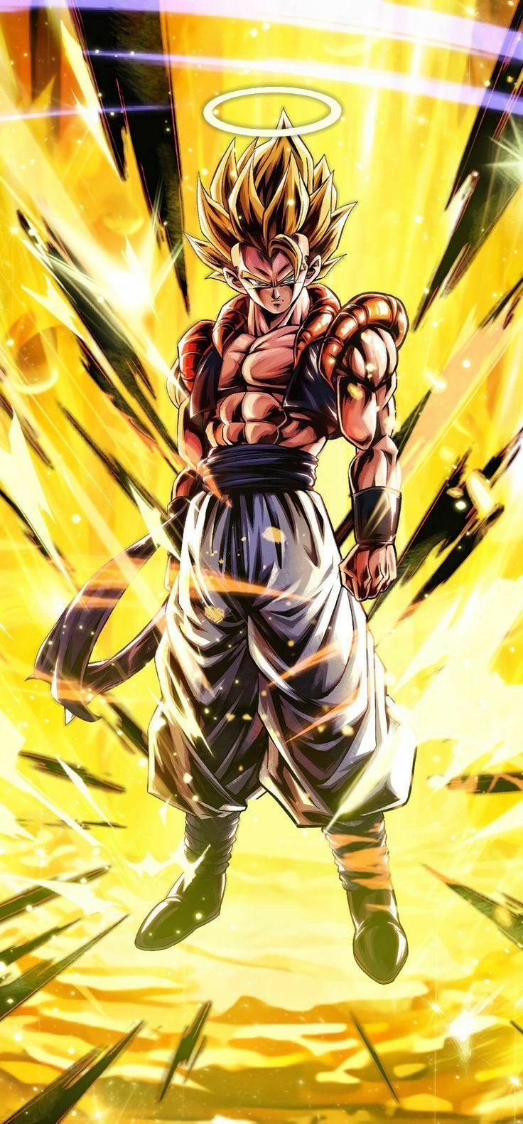 736x1580 wallpaper, anime dragon ball