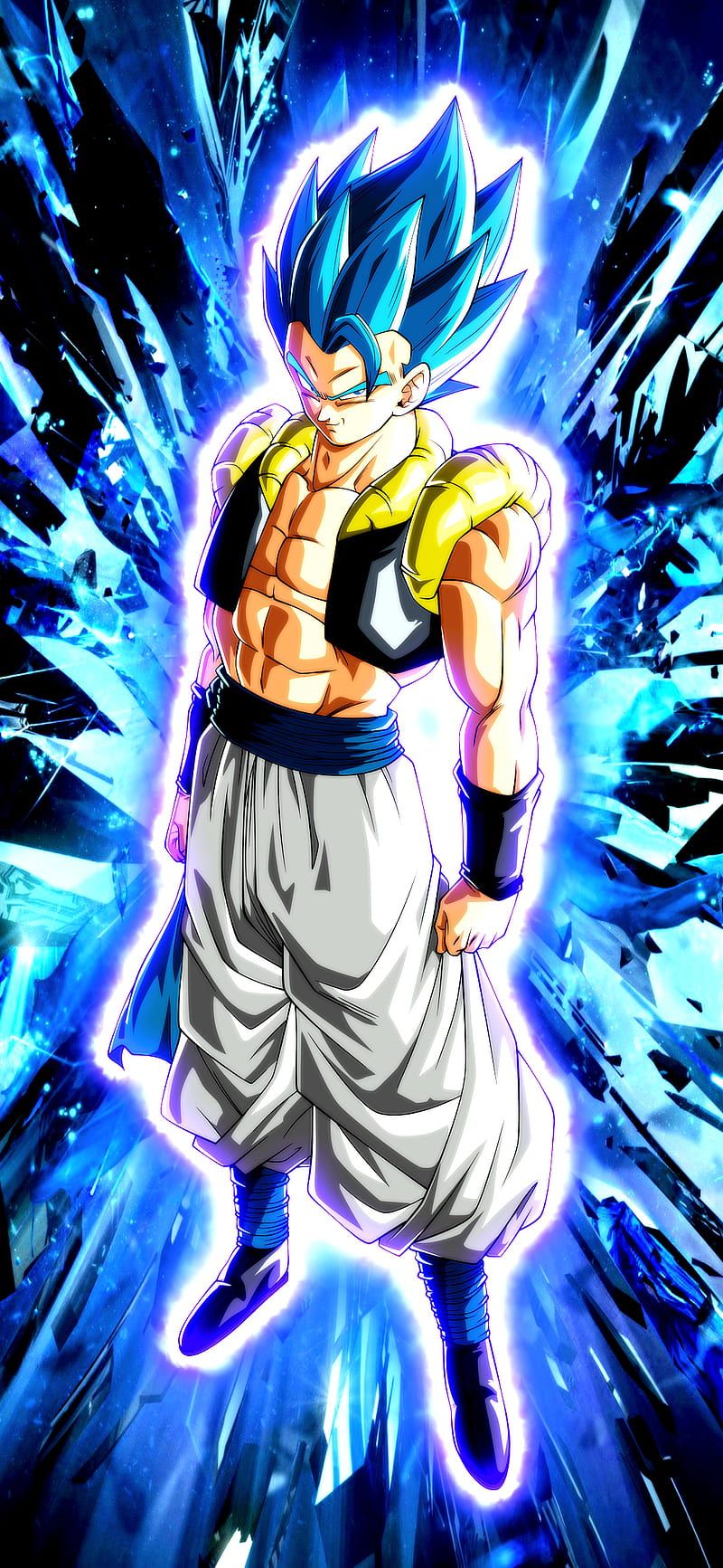 800x1733 dragon ball z, fusion dance, gogeta, HD
