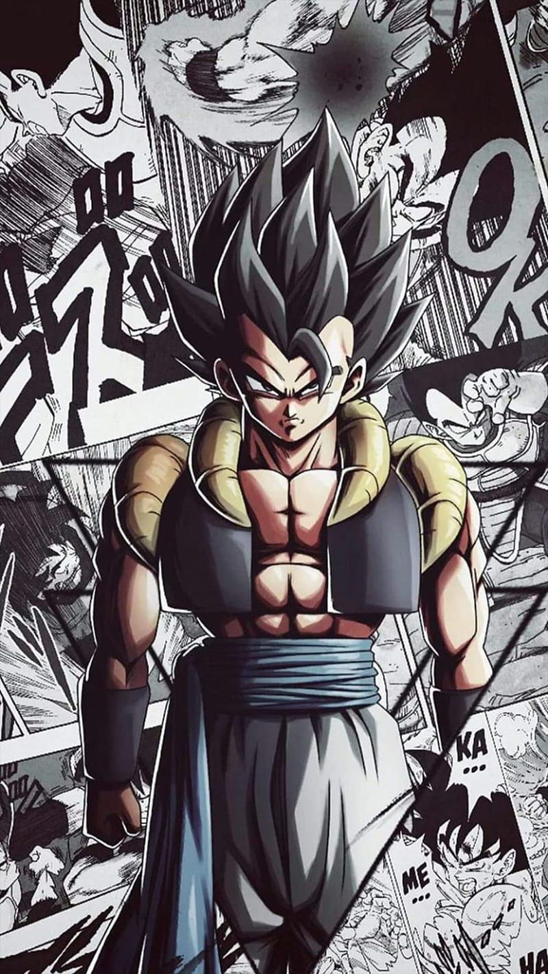 800x1422 HD dbz fusion wallpaper