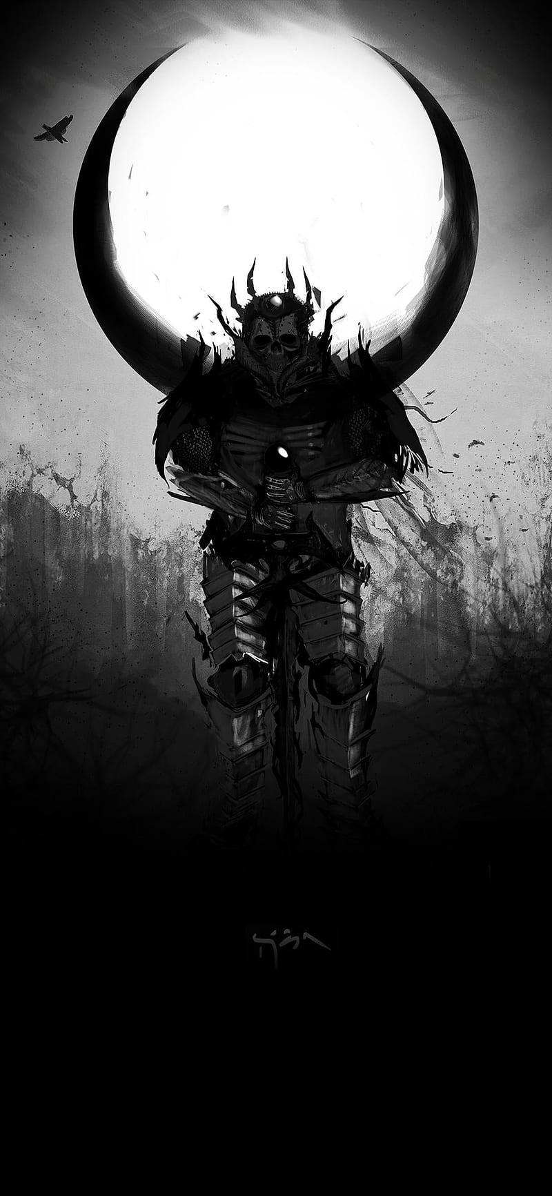 800x1733 HD ashen wallpaper