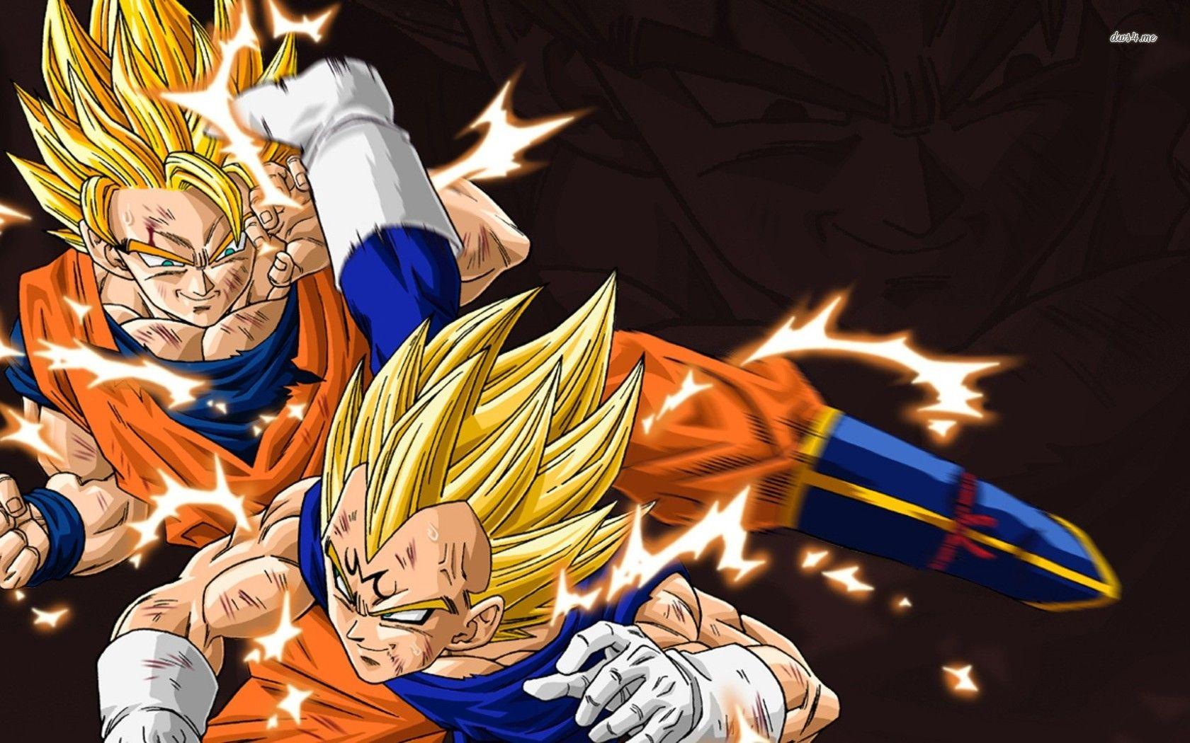 1680x1050 Vegeta and Goku Ball Z wallpaper wallpaper