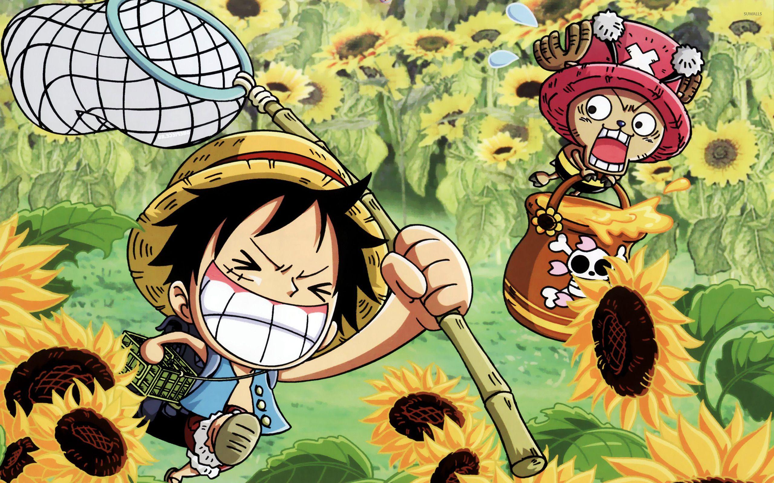 One Piece Wallpapers Top Free One Piece Backgrounds Wallpaperaccess