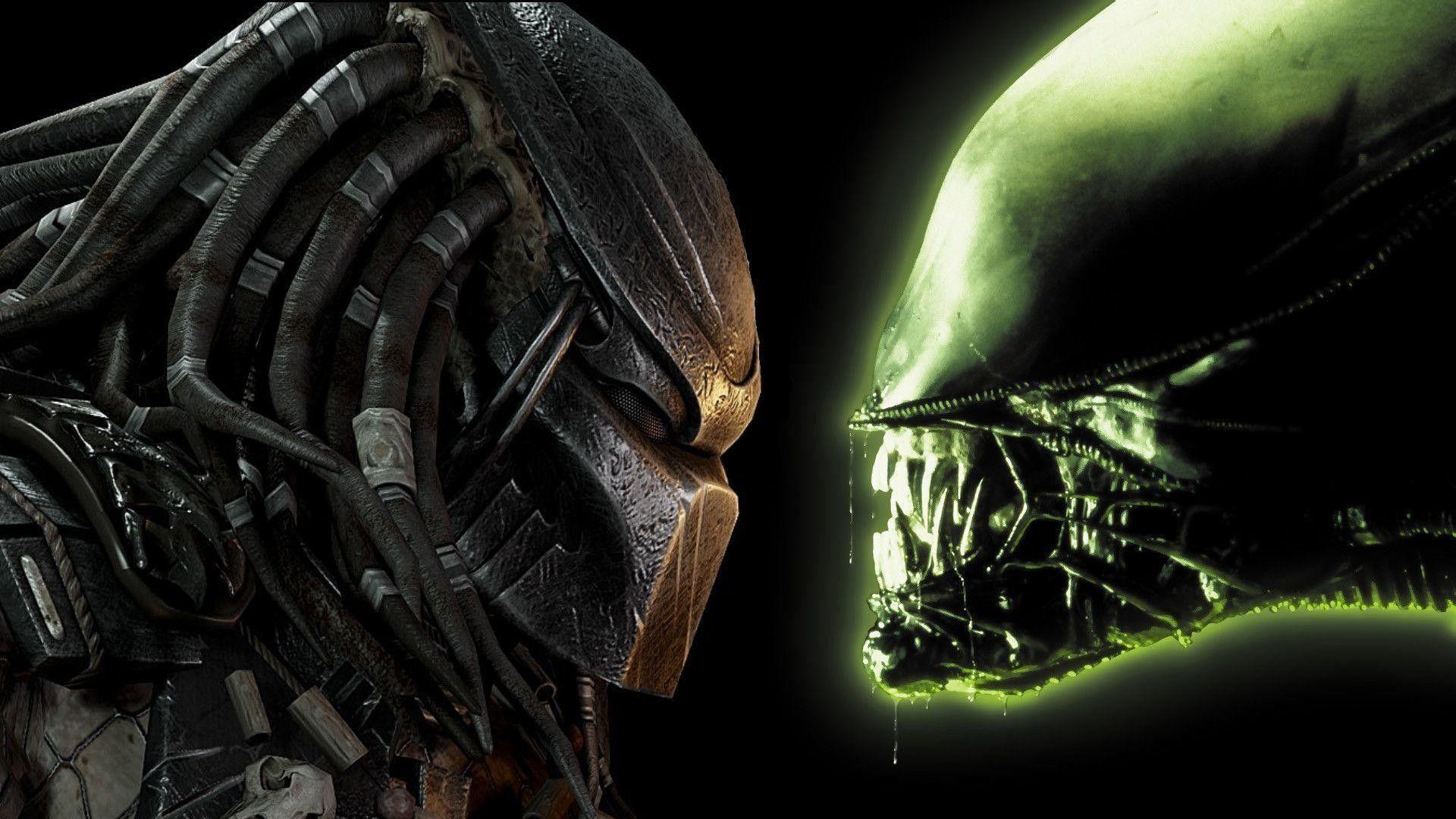 1920x1080 Aliens vs Predator Wallpaper