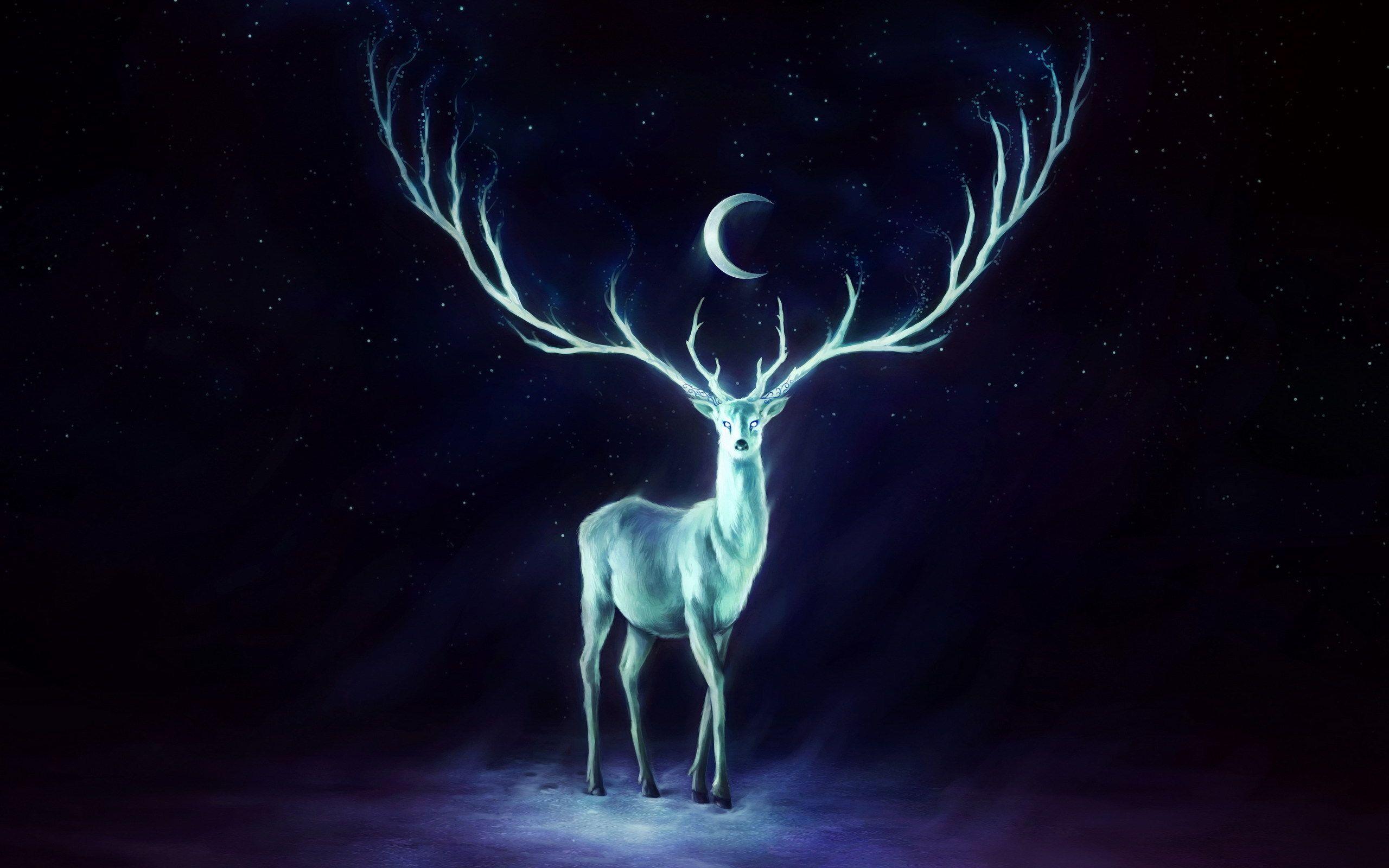 2560x1600 Stag Wallpaper. Stag Wallpaper
