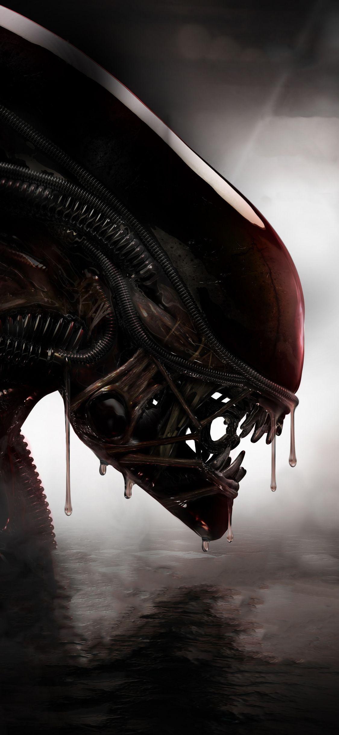 1125x2436 Download 1125x2436 wallpaper alien, predator, creature