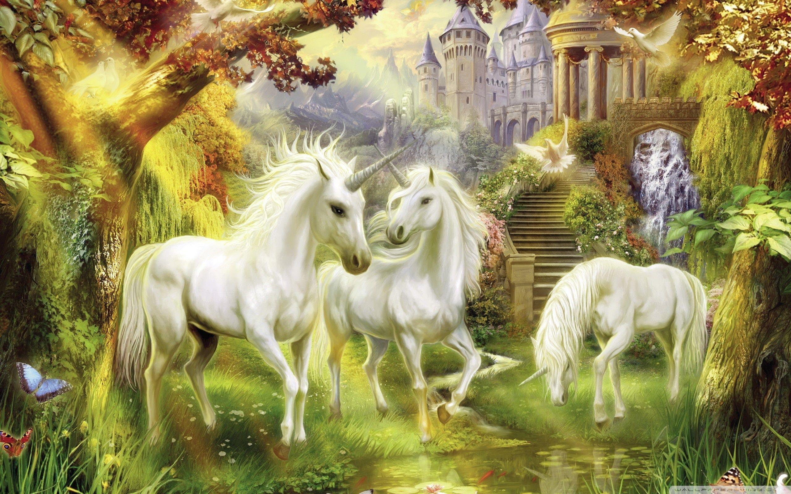 2560x1600 Unicorn Pics Free Download