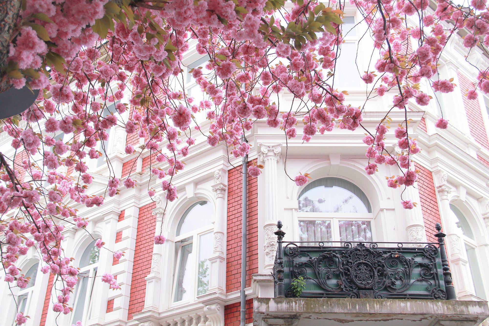 2000x1333 Download wallpaper the city, house, tree, France, Paris