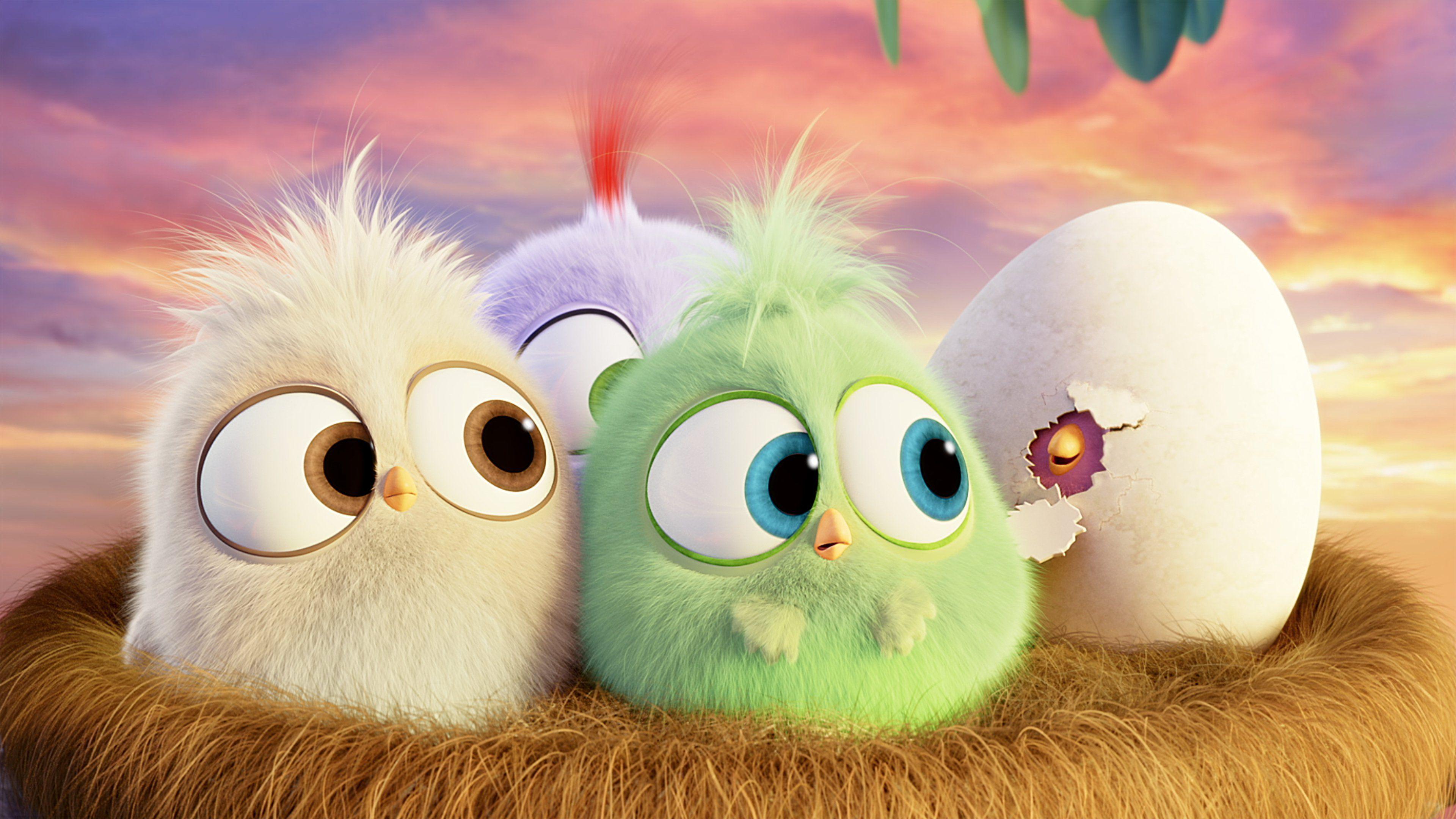 3840x2160 The Angry Birds Movie HD Wallpaper