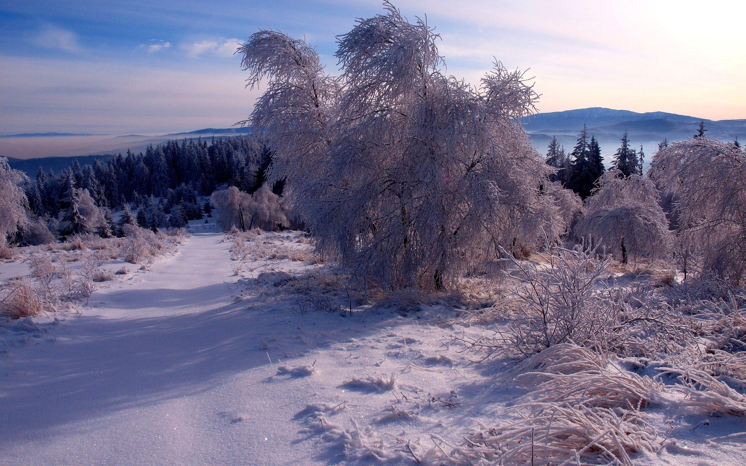 2560x1600 Winter Fairy Tale wallpaper. Winter Fairy Tale