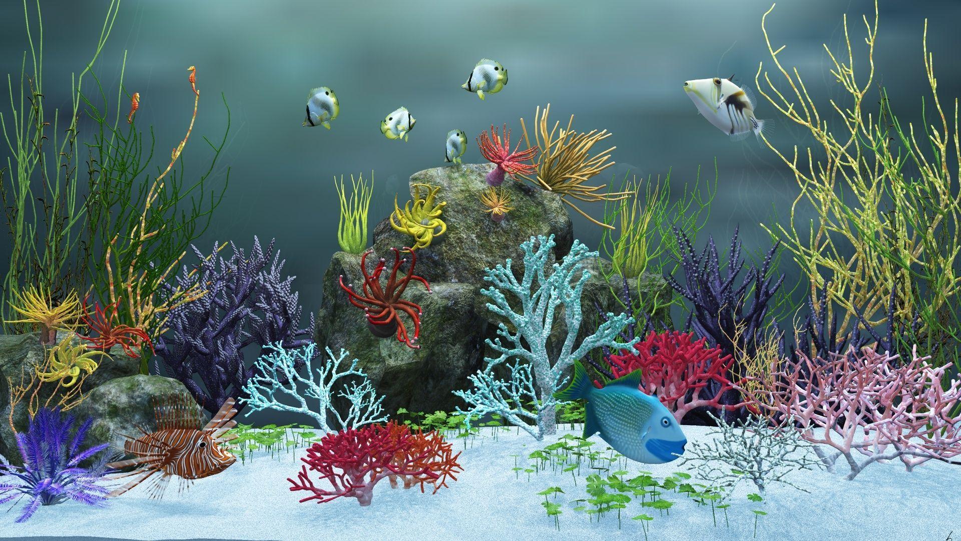 HD Aquarium Wallpapers Top Free HD