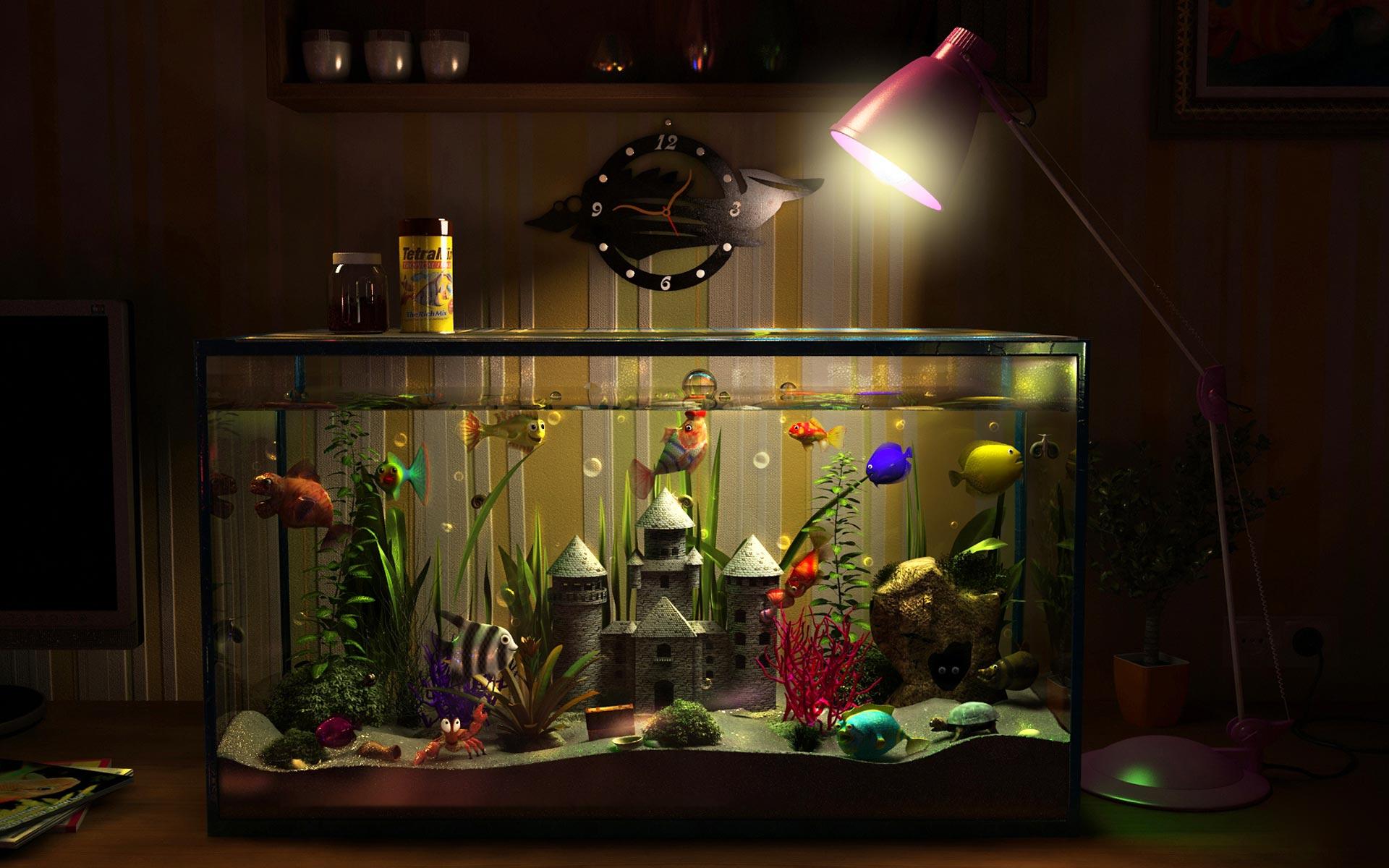1920x1200 Desktop HD wallpaper fish tank