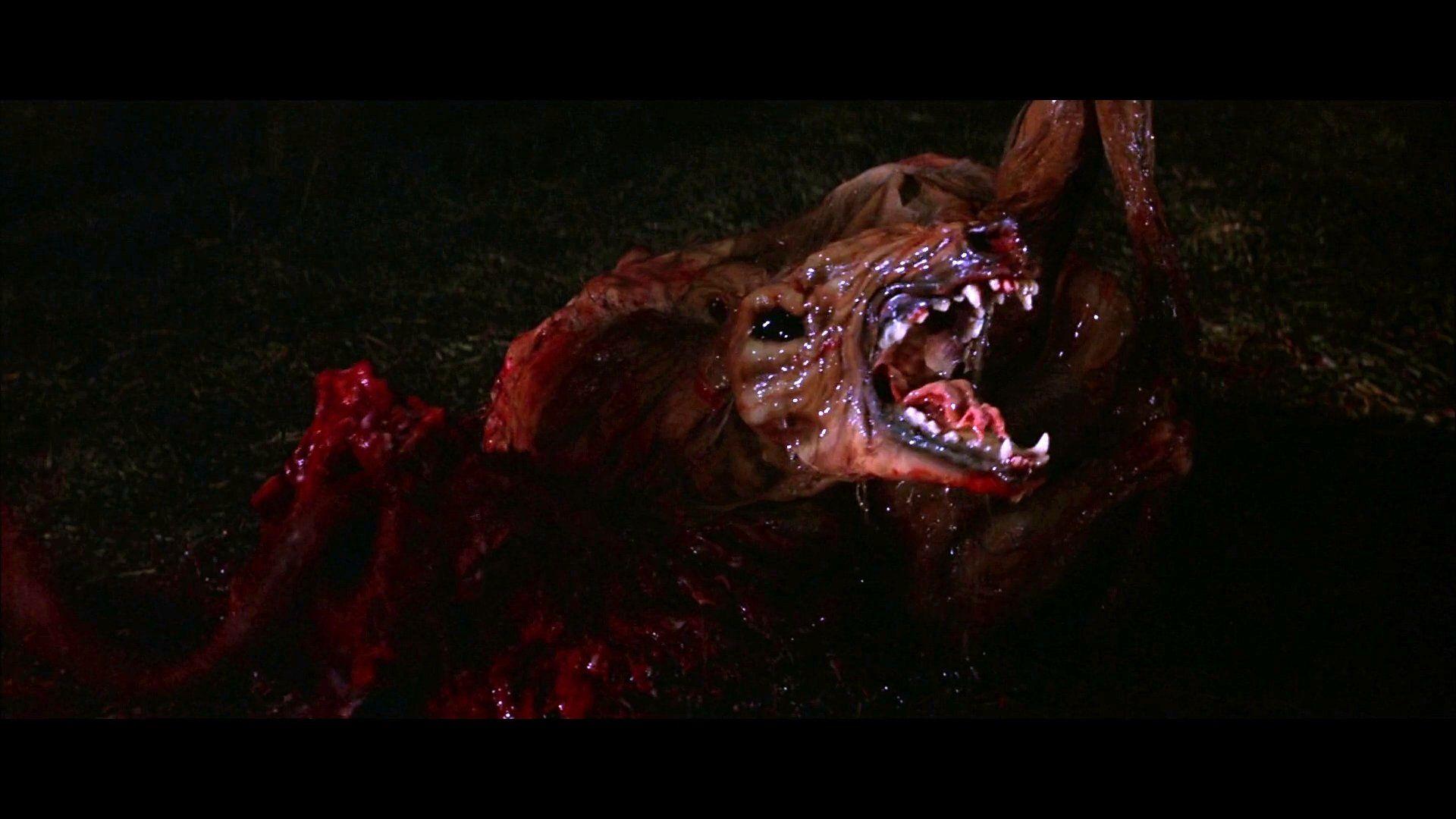 1920x1080 The Thing (1982) HD Wallpaper. Background Imagex1080
