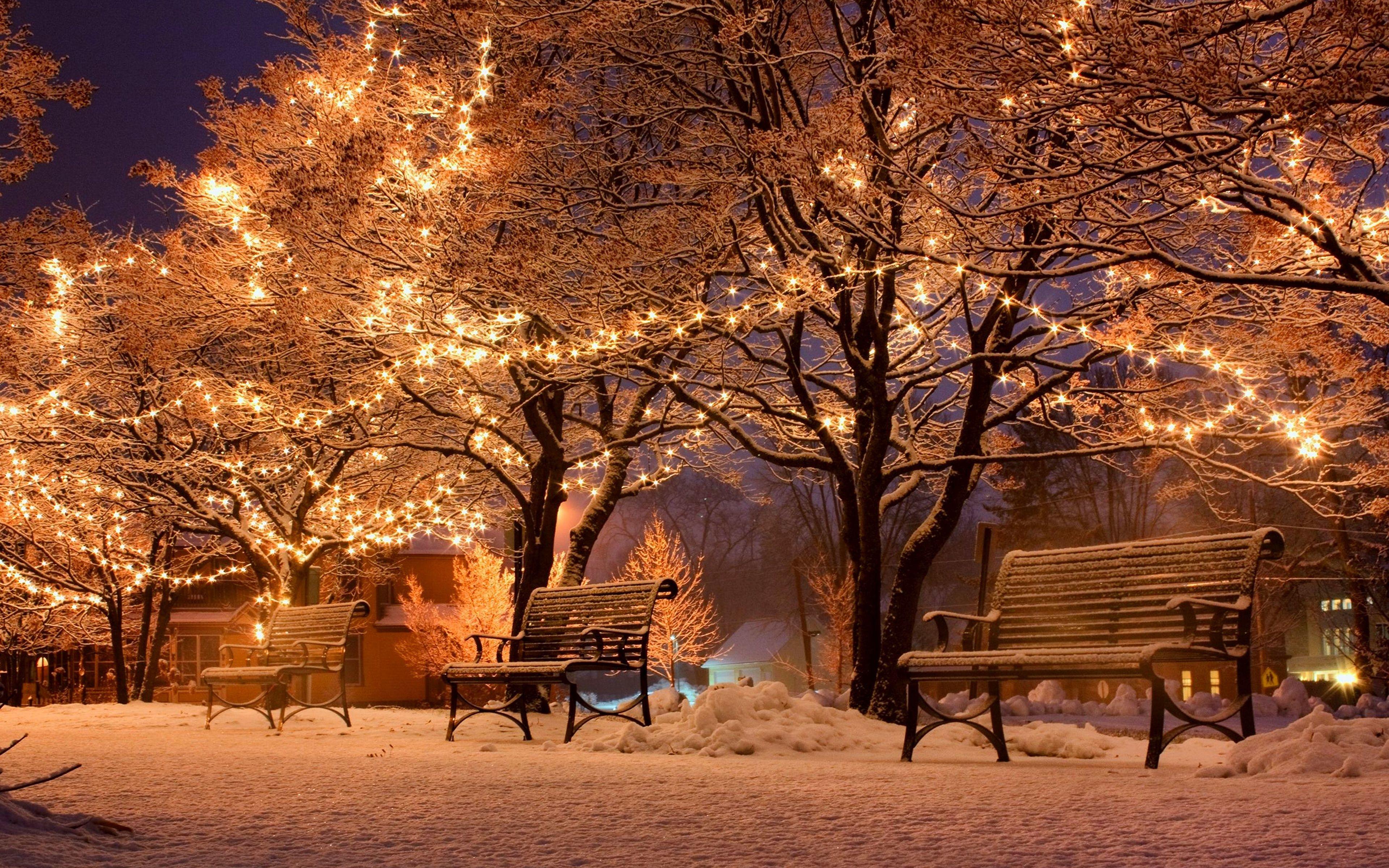 3840x2400 Picture Christmas Nature Winter Snow park Bench Night 3840x2400