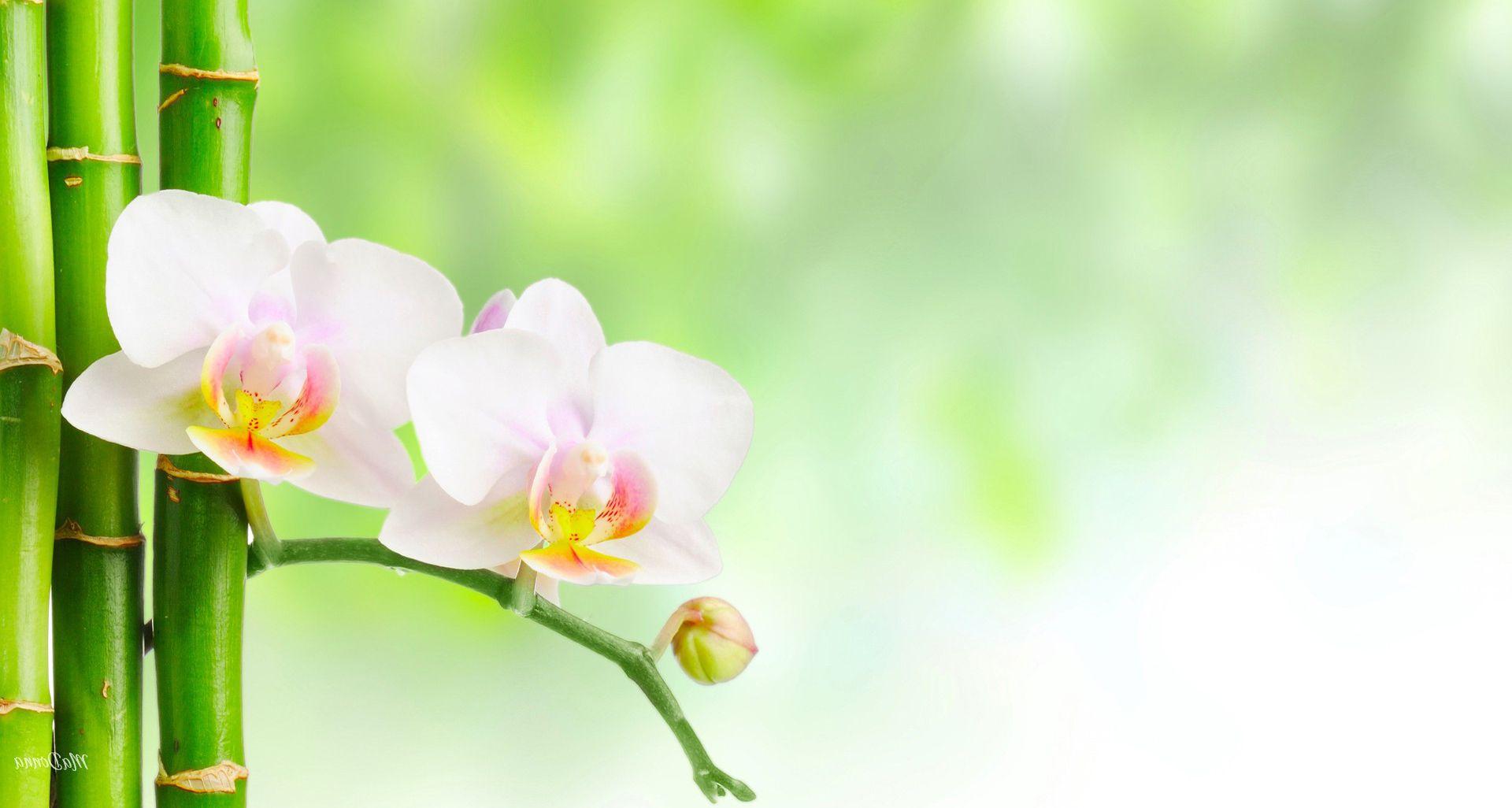 1920x1026 Healthy Wallpaper PC #PI7ER39. Wallperio.com™