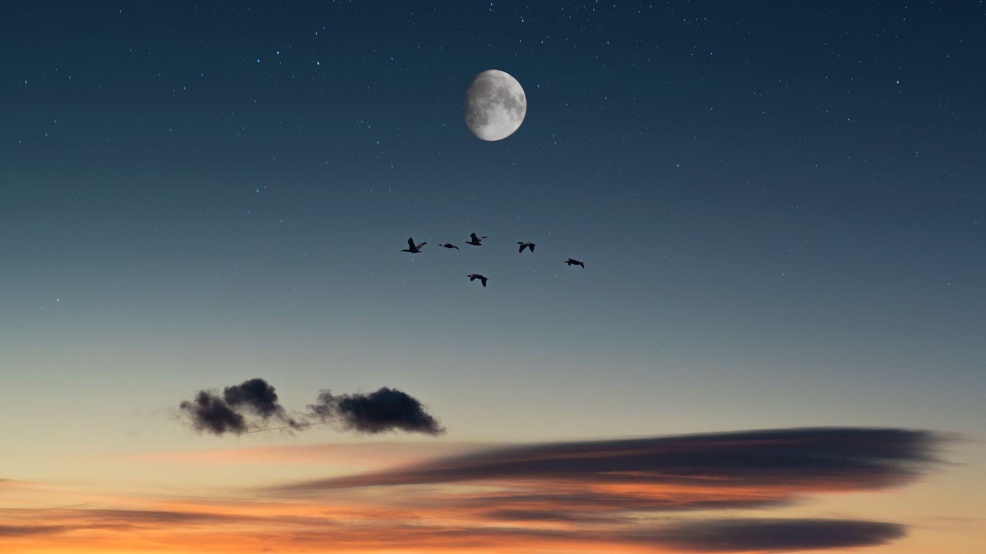 1920x1080 Download wallpaper 1920x1080 full moon, birds, desert