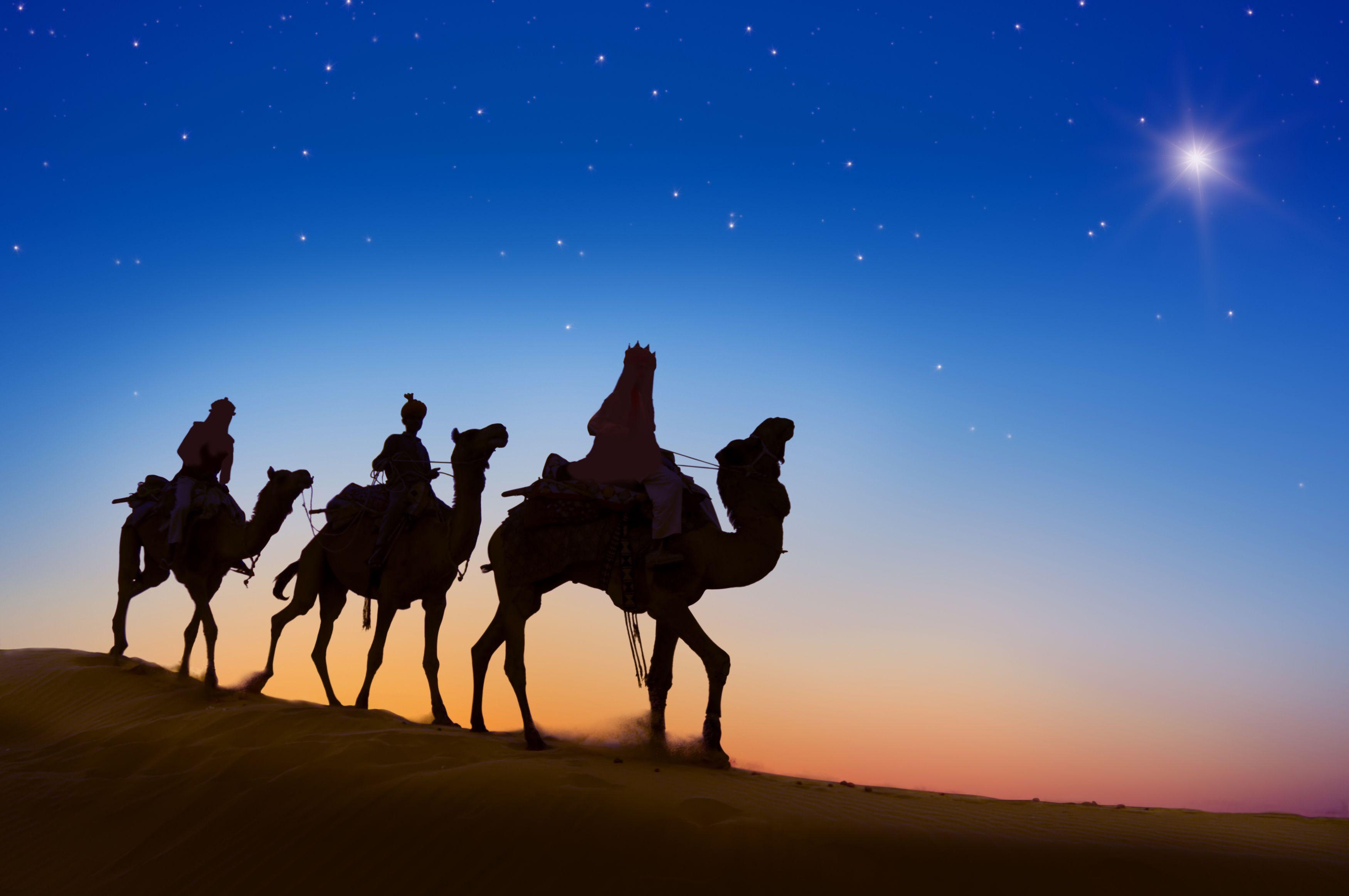 3500x2325 Wallpaper Camels Desert Evening Animals 3500x2325