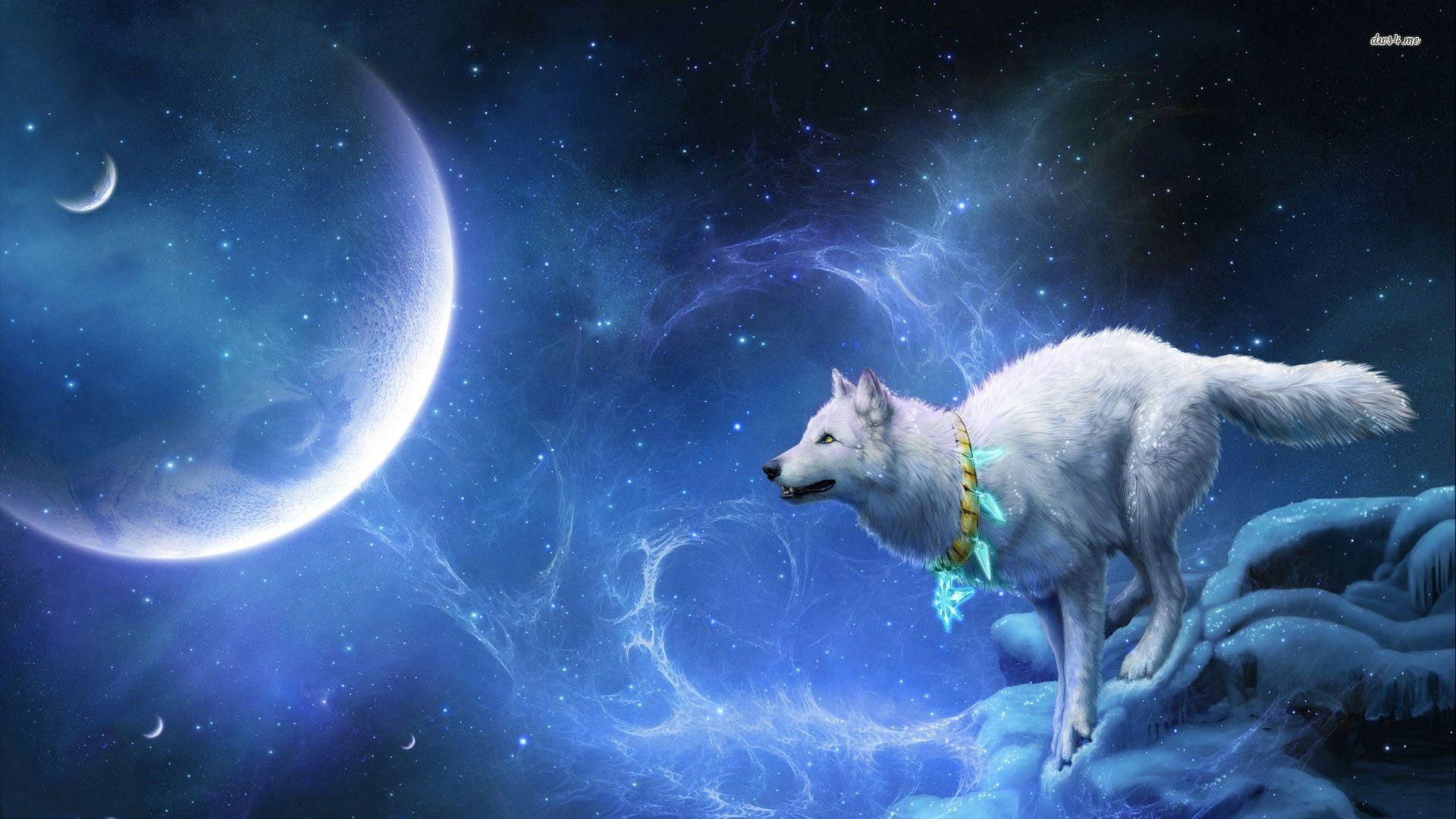 1920x1080 Wolf looking at Big Moon wallpaper wallpaper