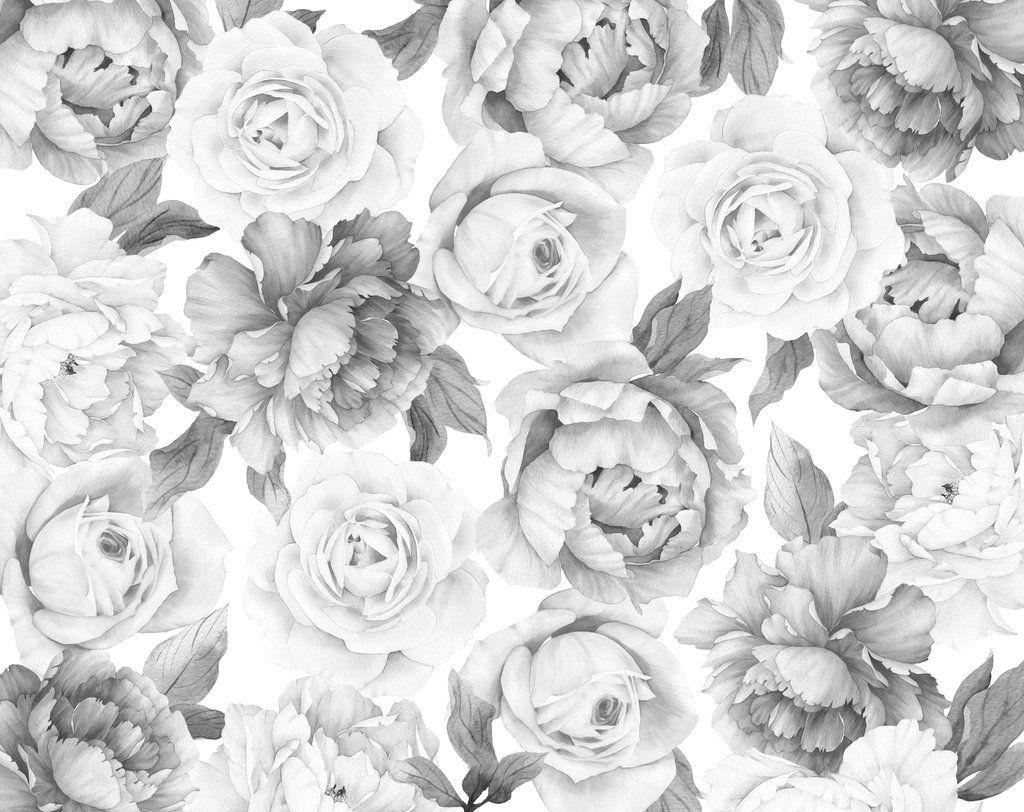 Black and White Peony Wallpapers - Top Free Black and White Peony Backgrounds - WallpaperAccess
