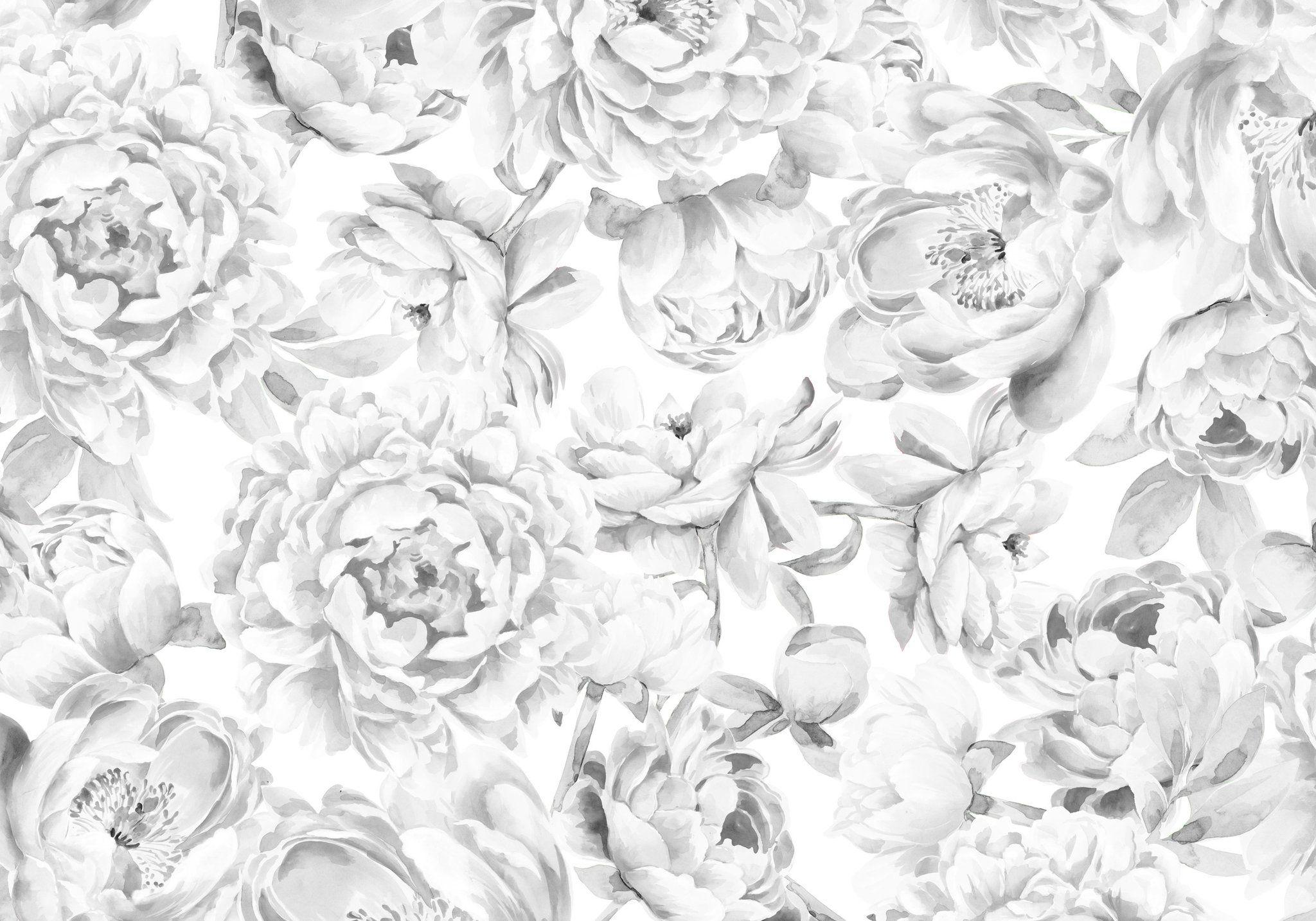 Black and White Peony Wallpapers  Top Free Black and White Peony  Backgrounds  WallpaperAccess
