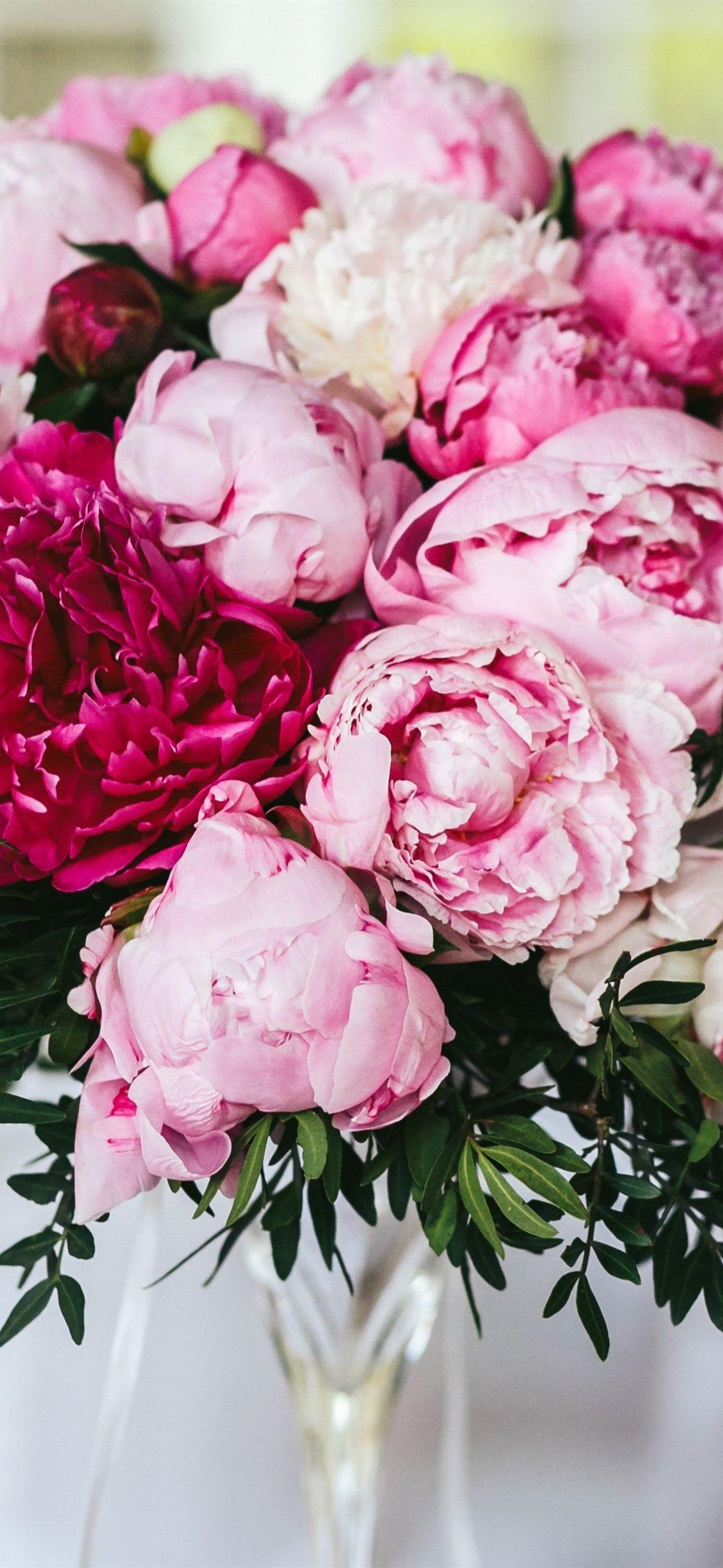 29 Peony Phone Wallpapers  Wallpaperboat
