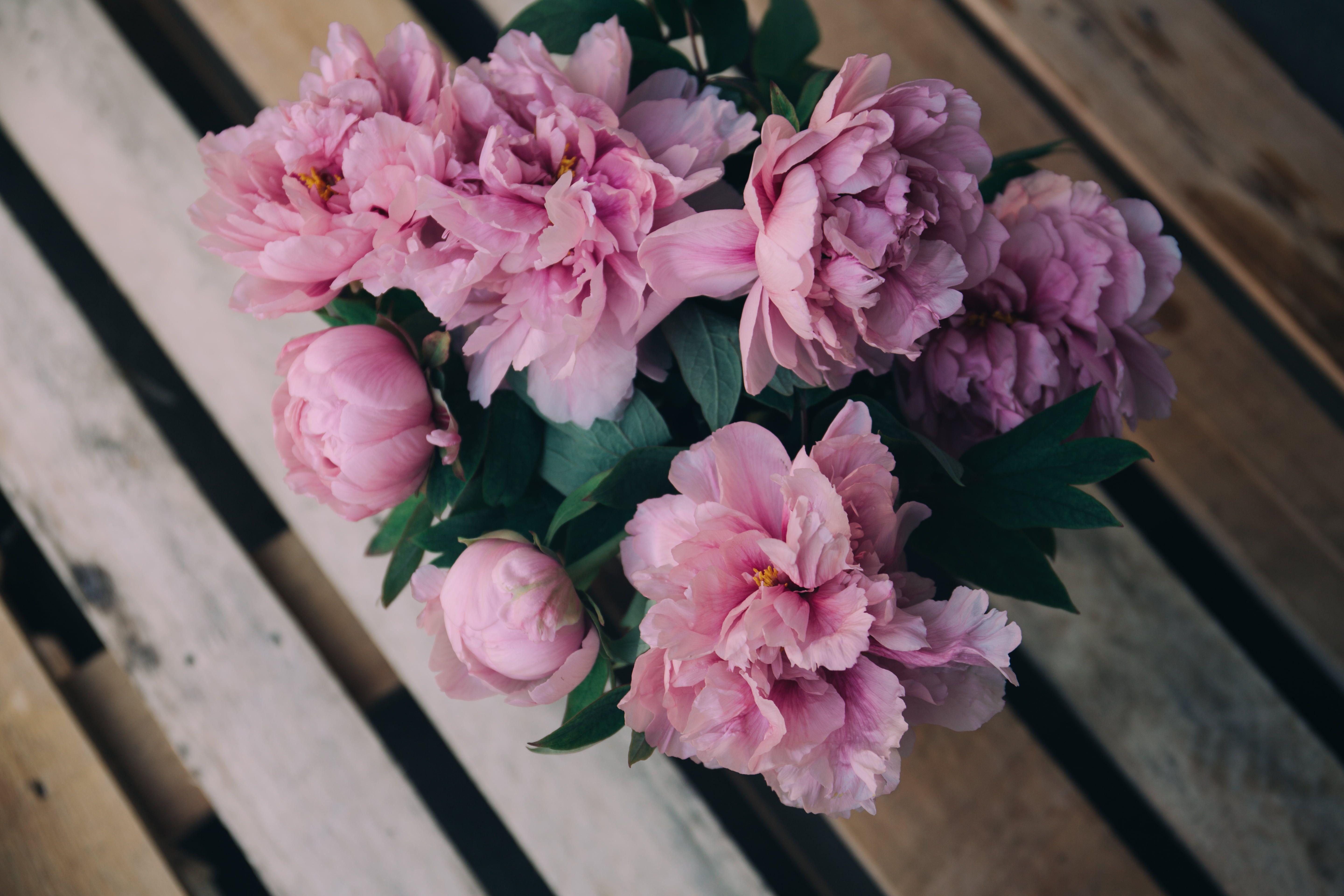 5760x3840 Pink peony flowers bouquet HD wallpaper