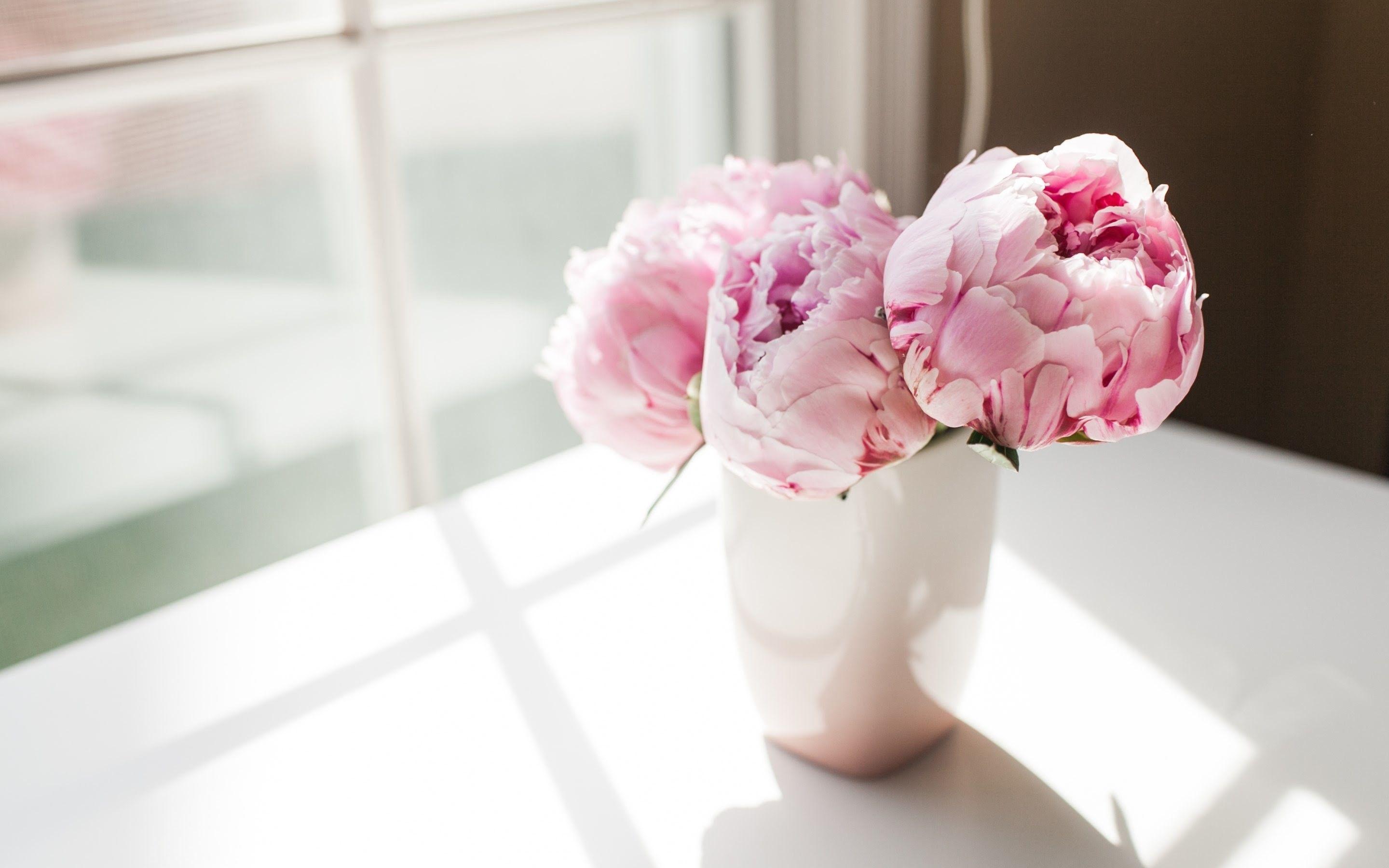 2880x1800 Peony Desktop Wallpaper