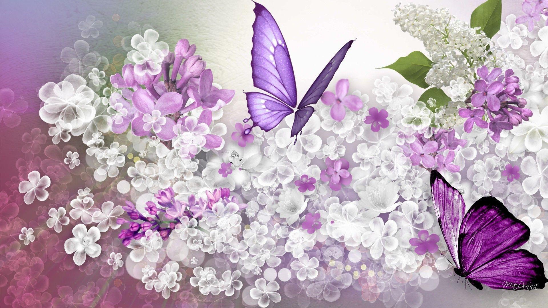 1920x1080 Lilac Flowers hình nền