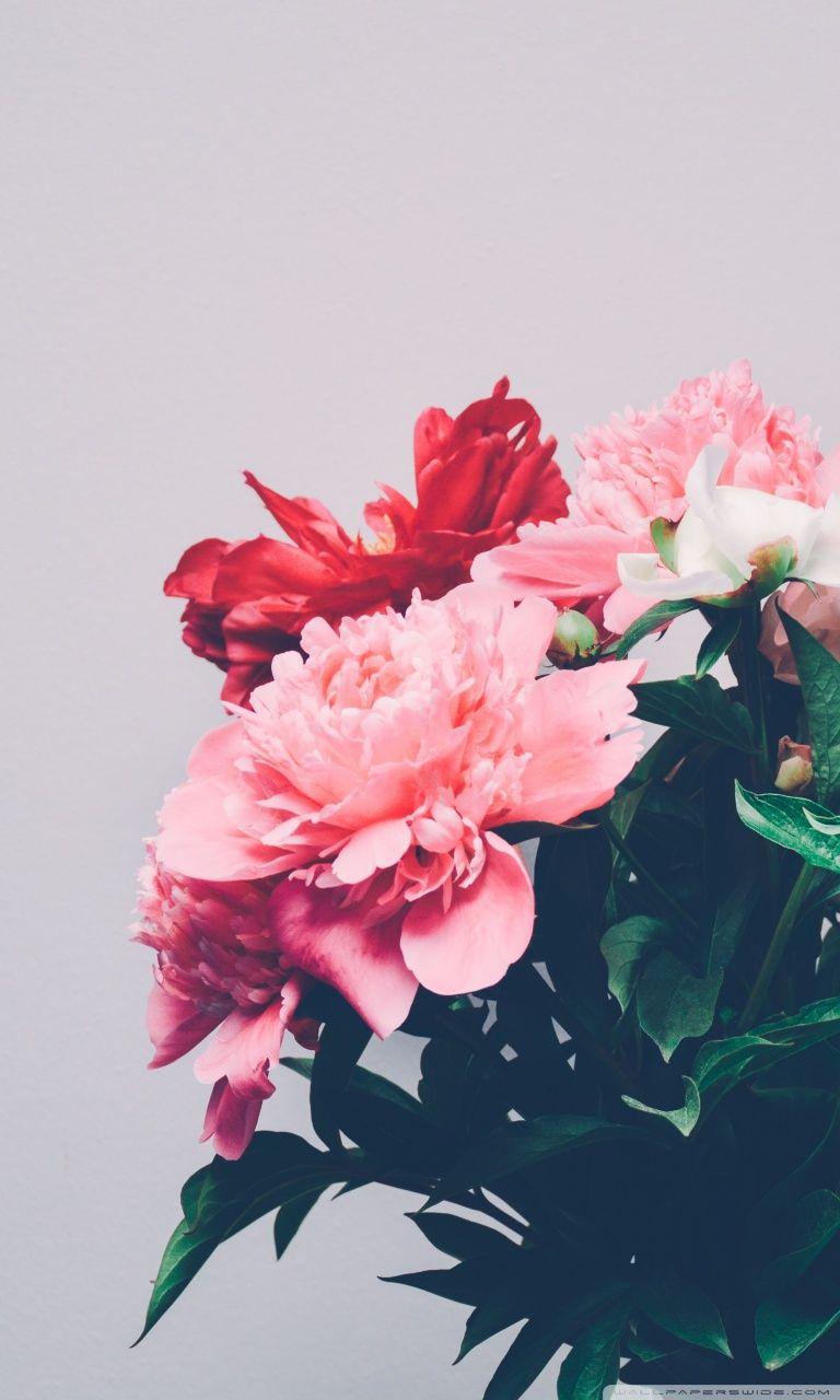768x1280 Peonies Bouquet ❤ 4K HD Desktop Wallpaper for 4K Ultra HD