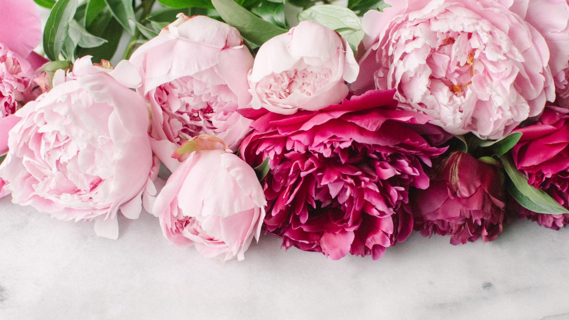 1920x1080 This Wild Heart. DIY: Peony Floral Bouquet. Peony beyond