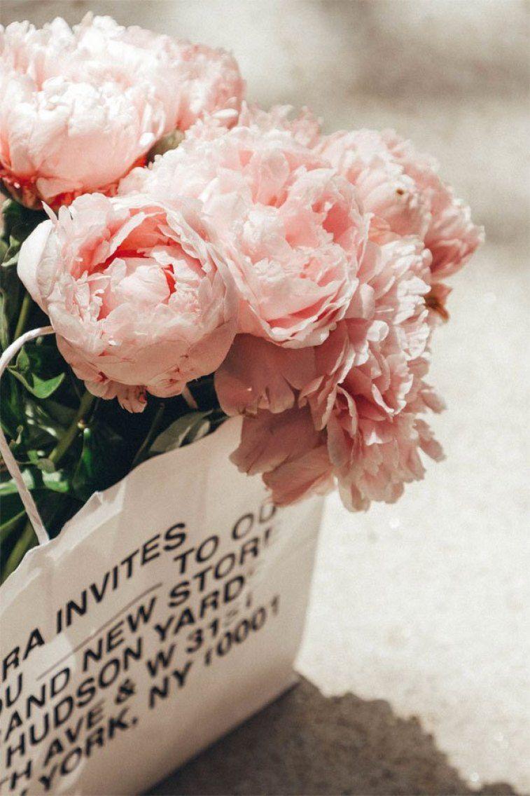 757x1136 Pink Peonies Wallpaper