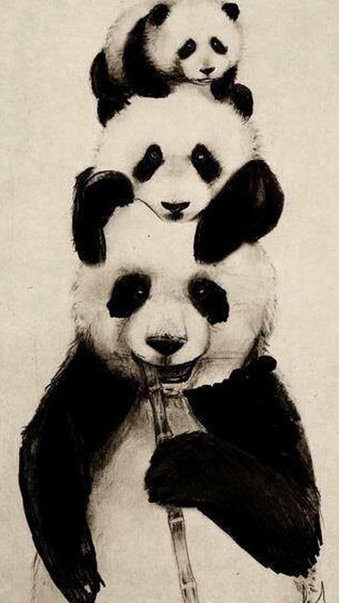 Panda Iphone Wallpapers Top Free Panda Iphone Backgrounds Wallpaperaccess