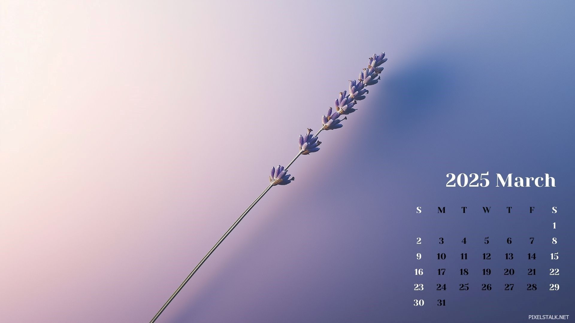 1920x1080 March 2025 Calendar Desktop Wallpaper
