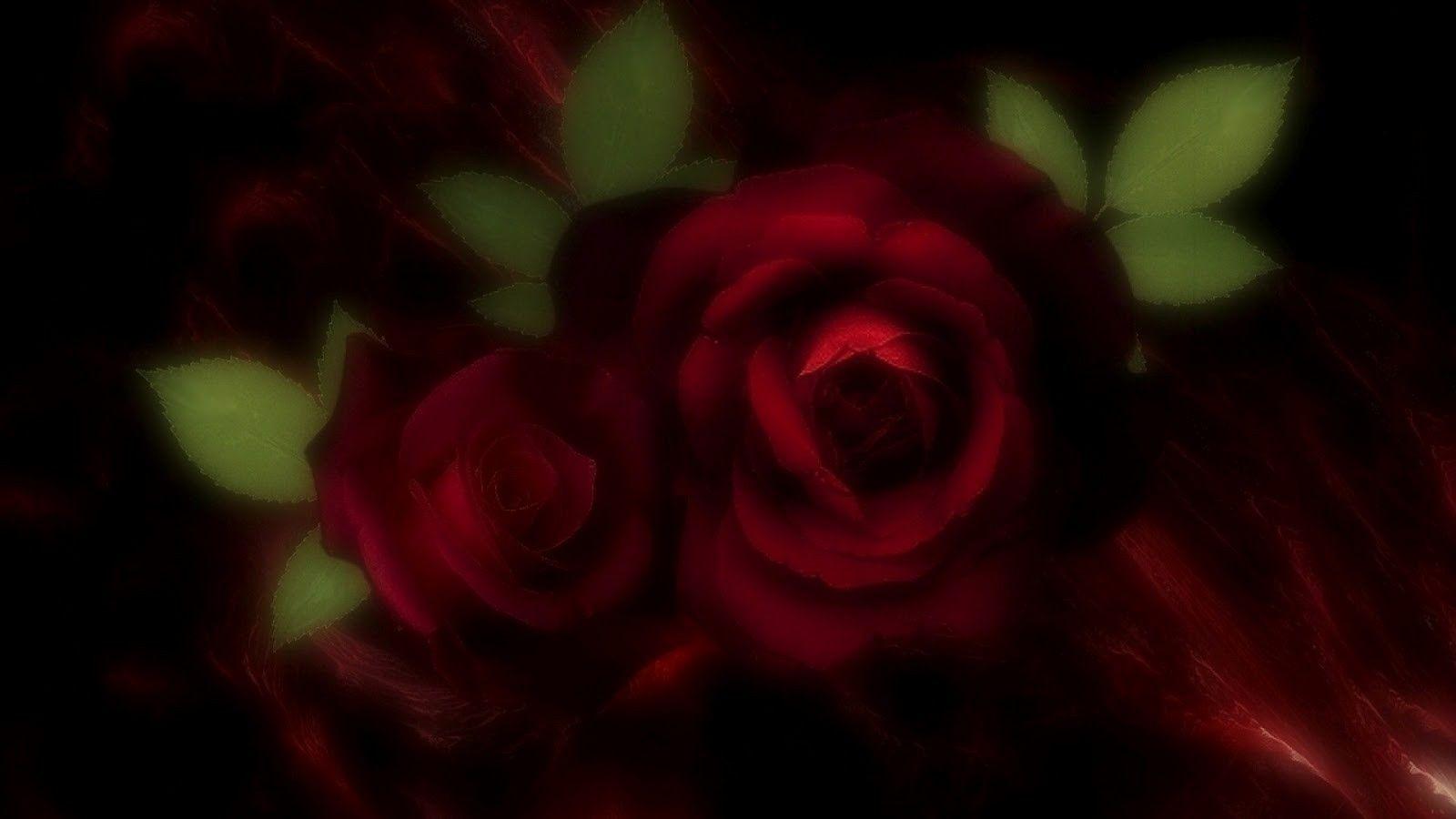 1600x900 Burgundy Rose Desktop Wallpaper 34489