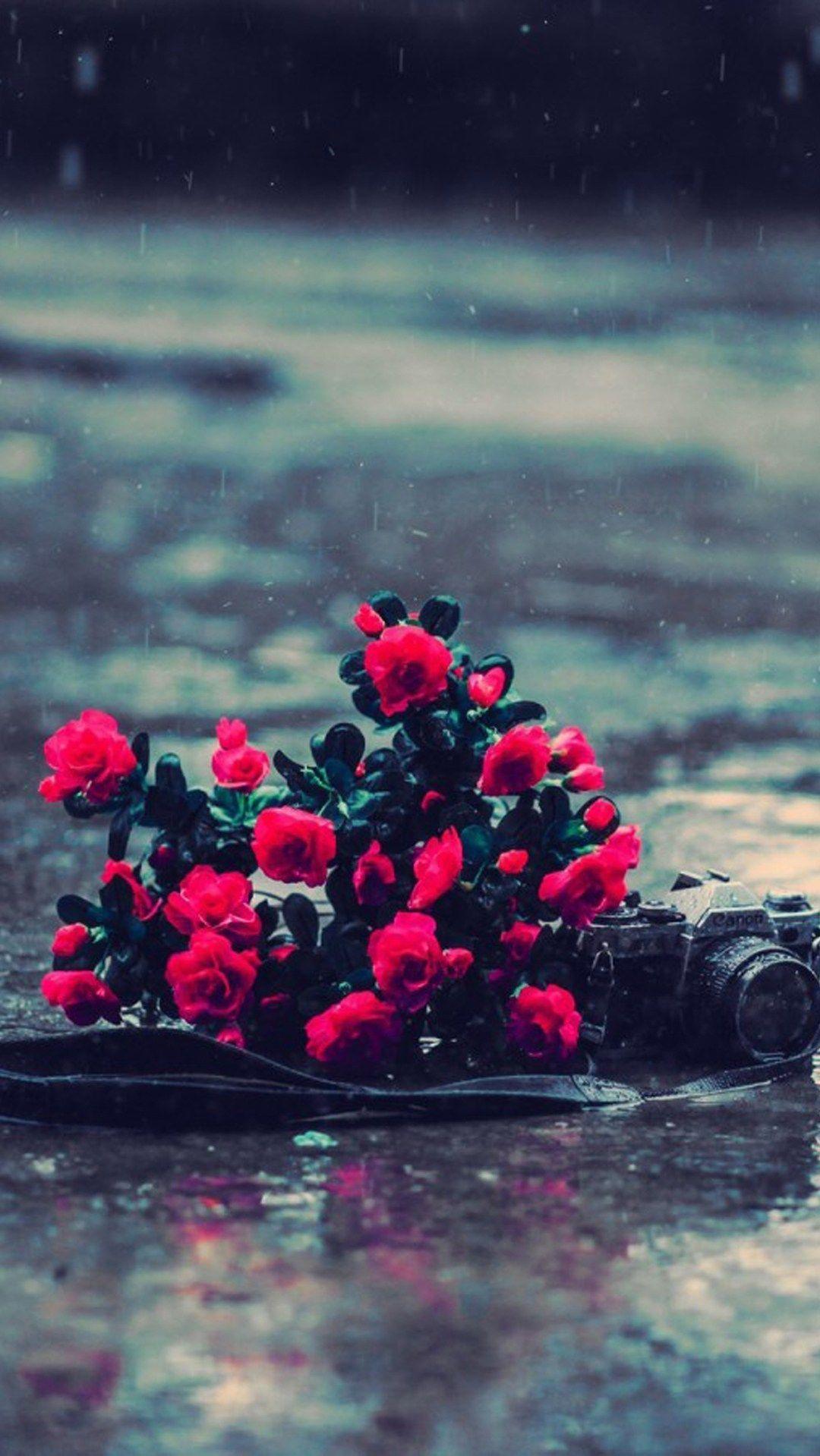 1080x1919 Red Flowers Rainy Day IPhone 6 6 Plus And IPhone 5 4