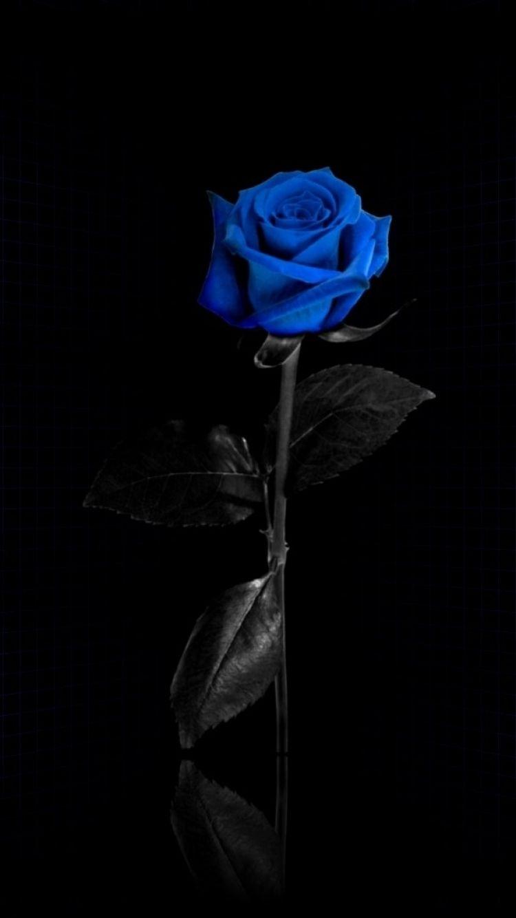 750x1334 IPhone 5