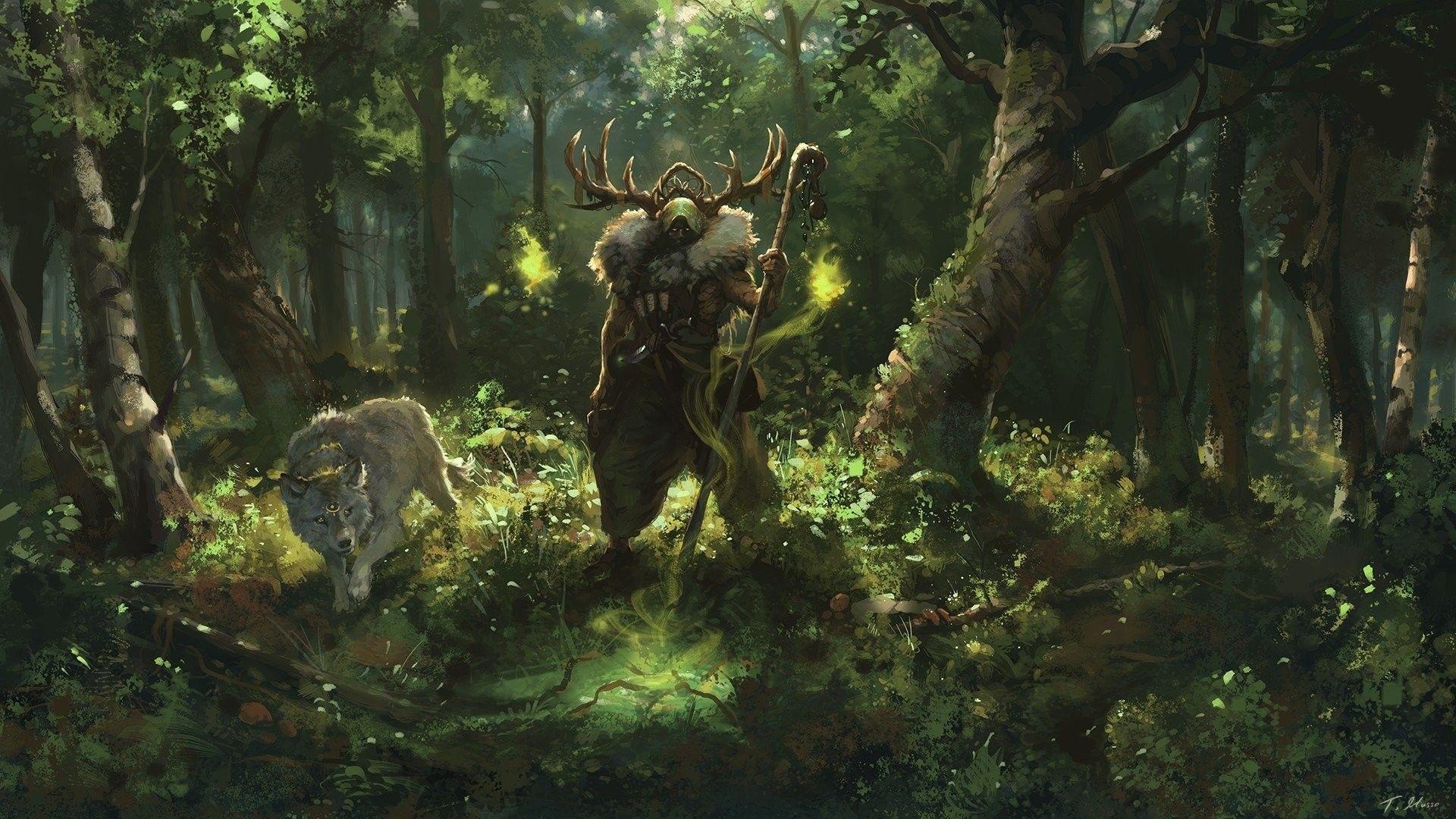 Druid Wallpapers - Top Free Druid Backgrounds - WallpaperAccess