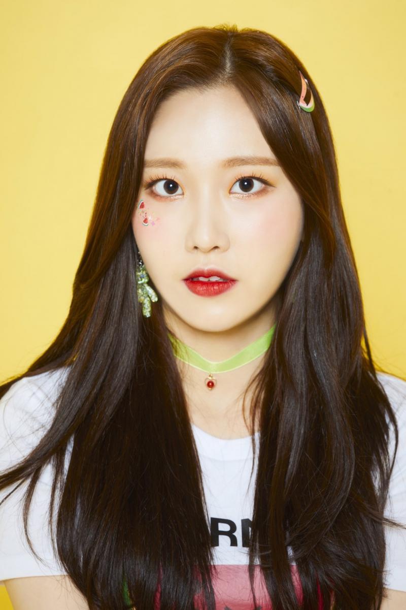 800x1201 MOMOLAND Members Profile (Updated!)