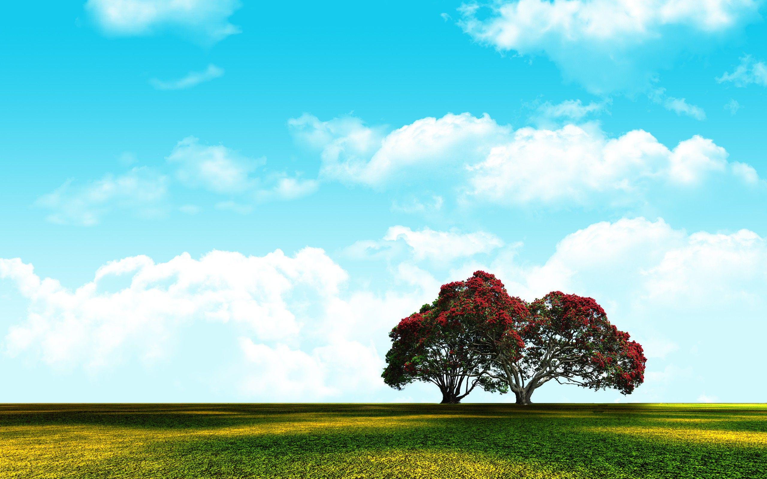 2560x1600 sky, Nature, Landscape, Adobe Photohop Wallpaper HD / Desktop and Mobile Background