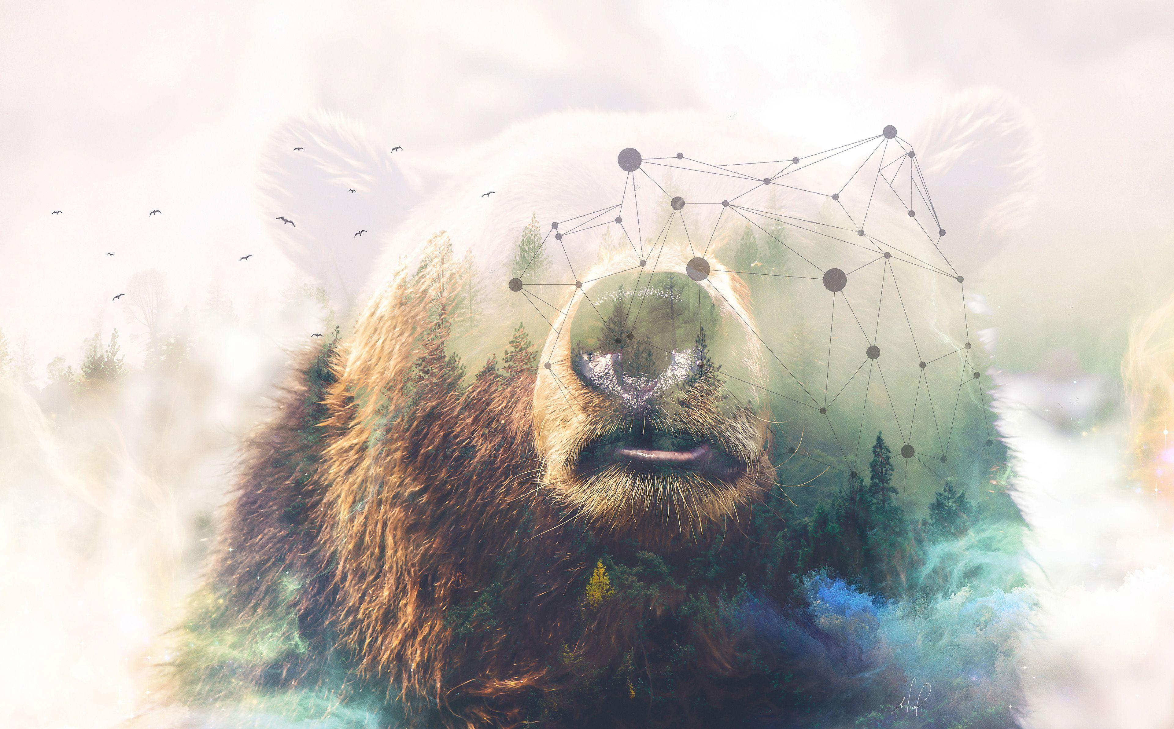 3840x2386 Wallpaper Grizzly bear, Forest, Photohop, HD, 4K, Creative