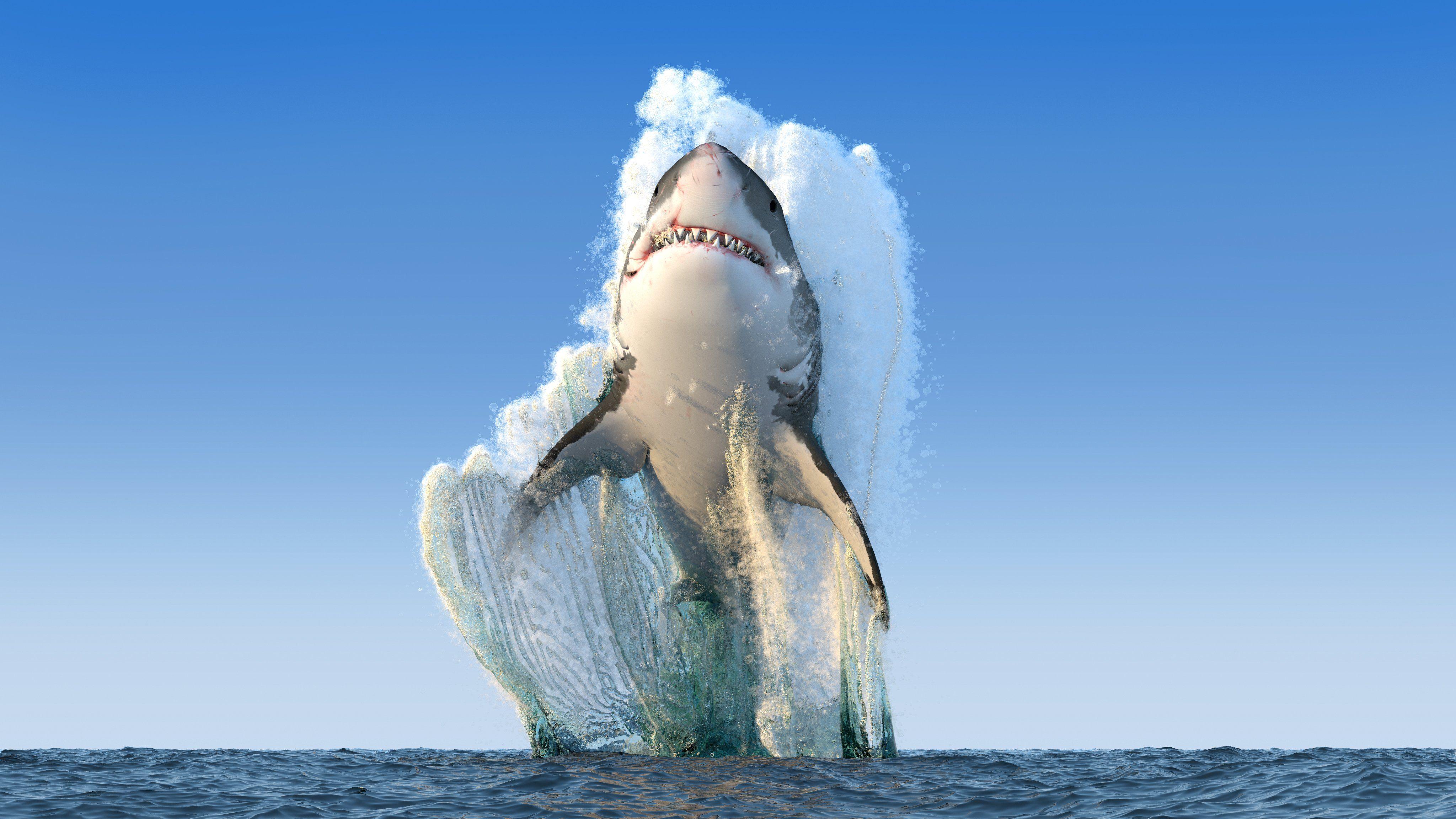 4096x2304 shark render sea fangs photohop wallpaper