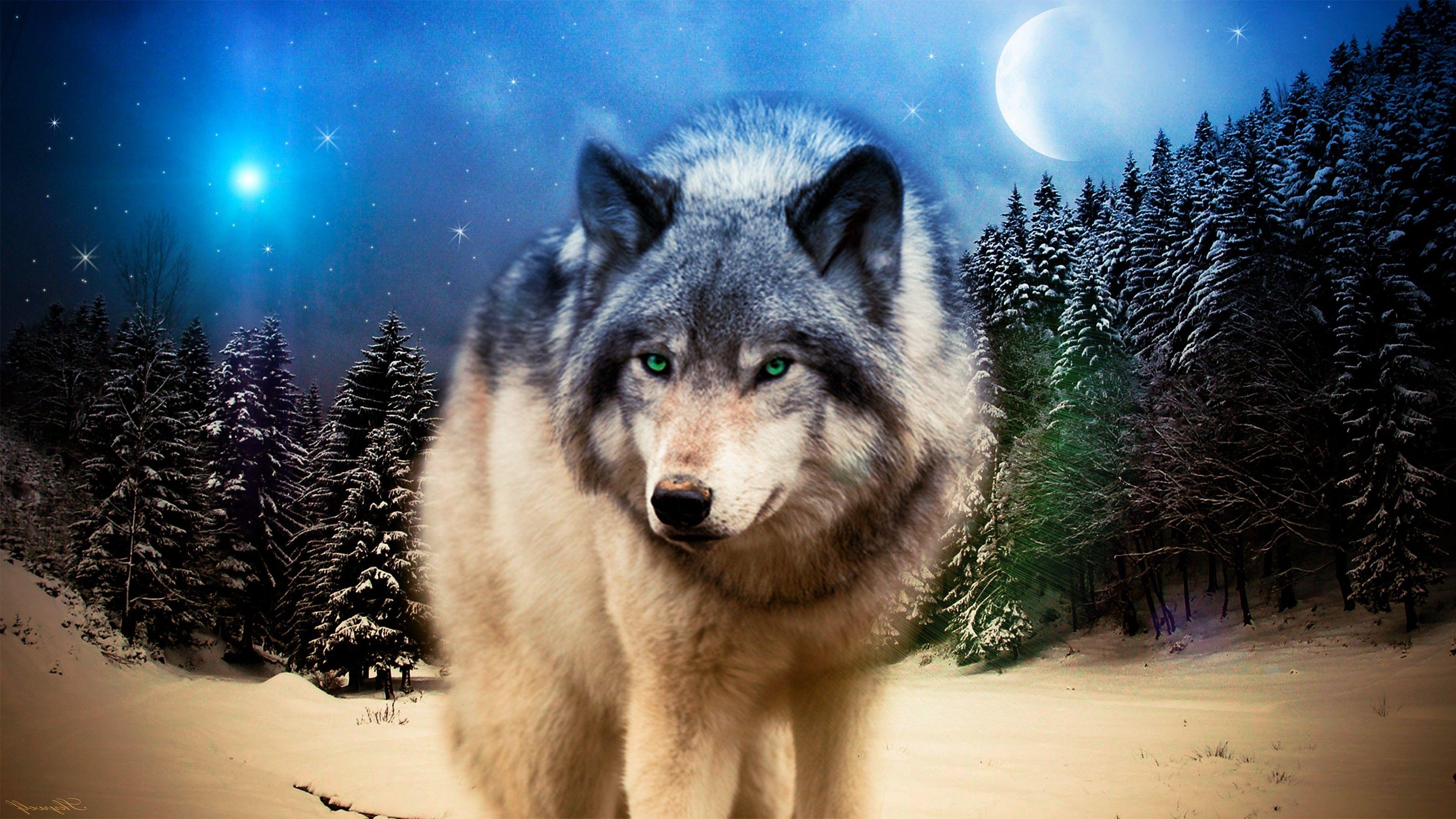 3200x1800 Wolf Background for Photohop. Funny