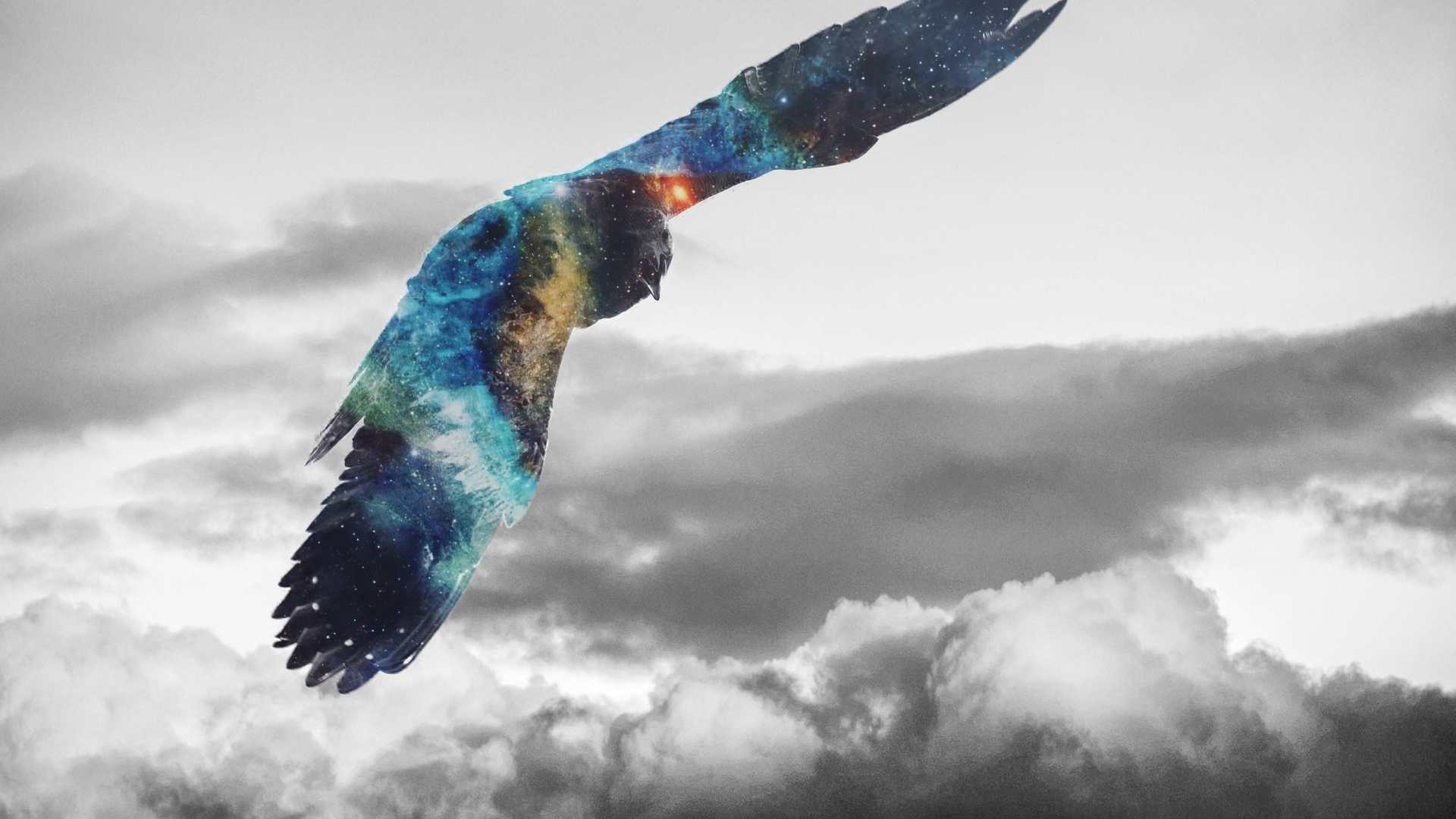 1920x1080 Golden Eagle Flying Galaxy Photohop Laptop Full