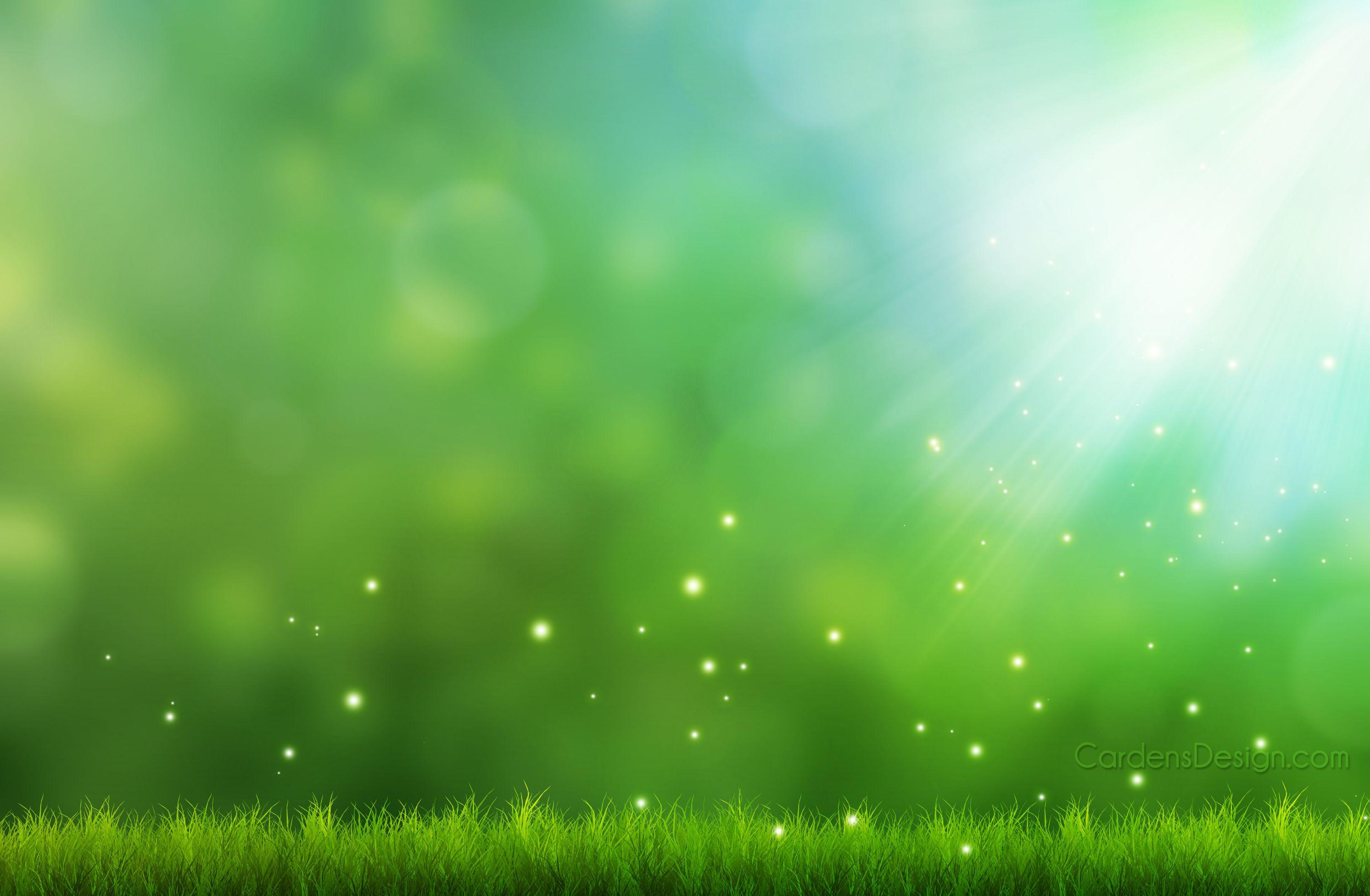 3000x1962 Nature Photohop Background Nice Wallpaper 16414