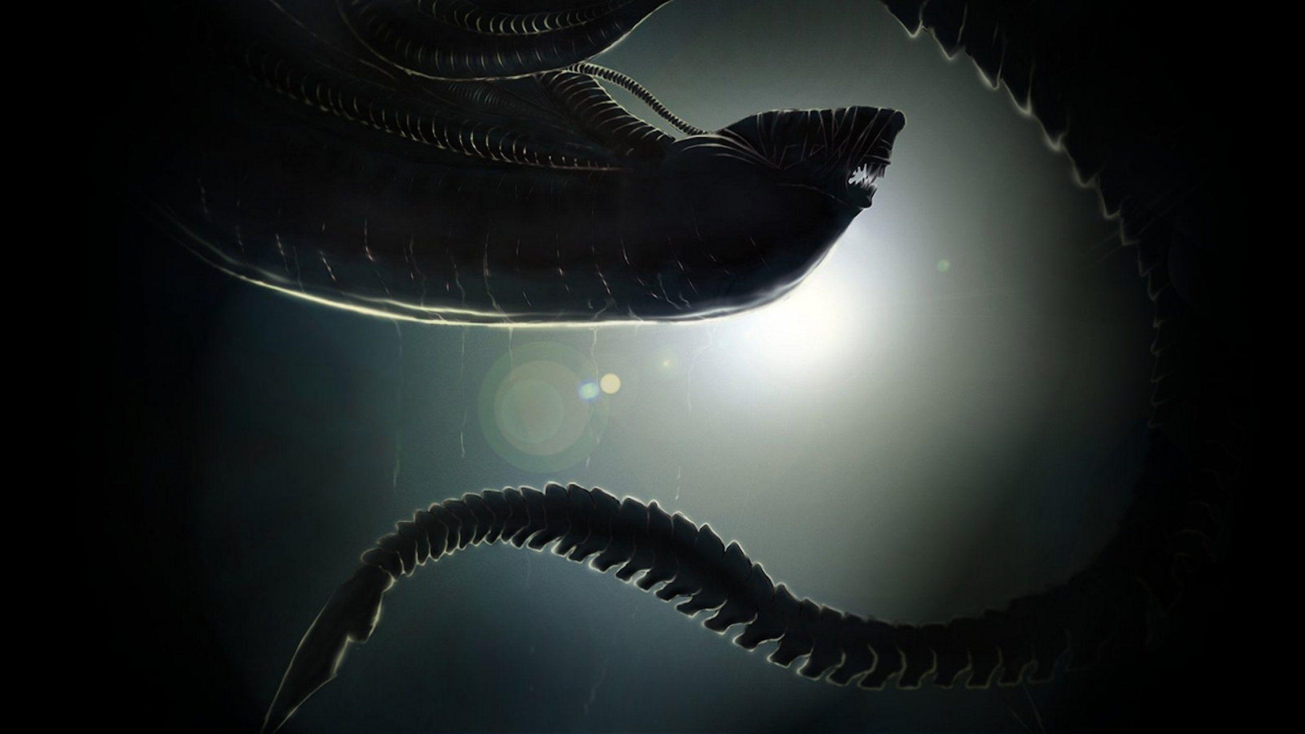 2560x1440 Alien Desktop Wallpaper